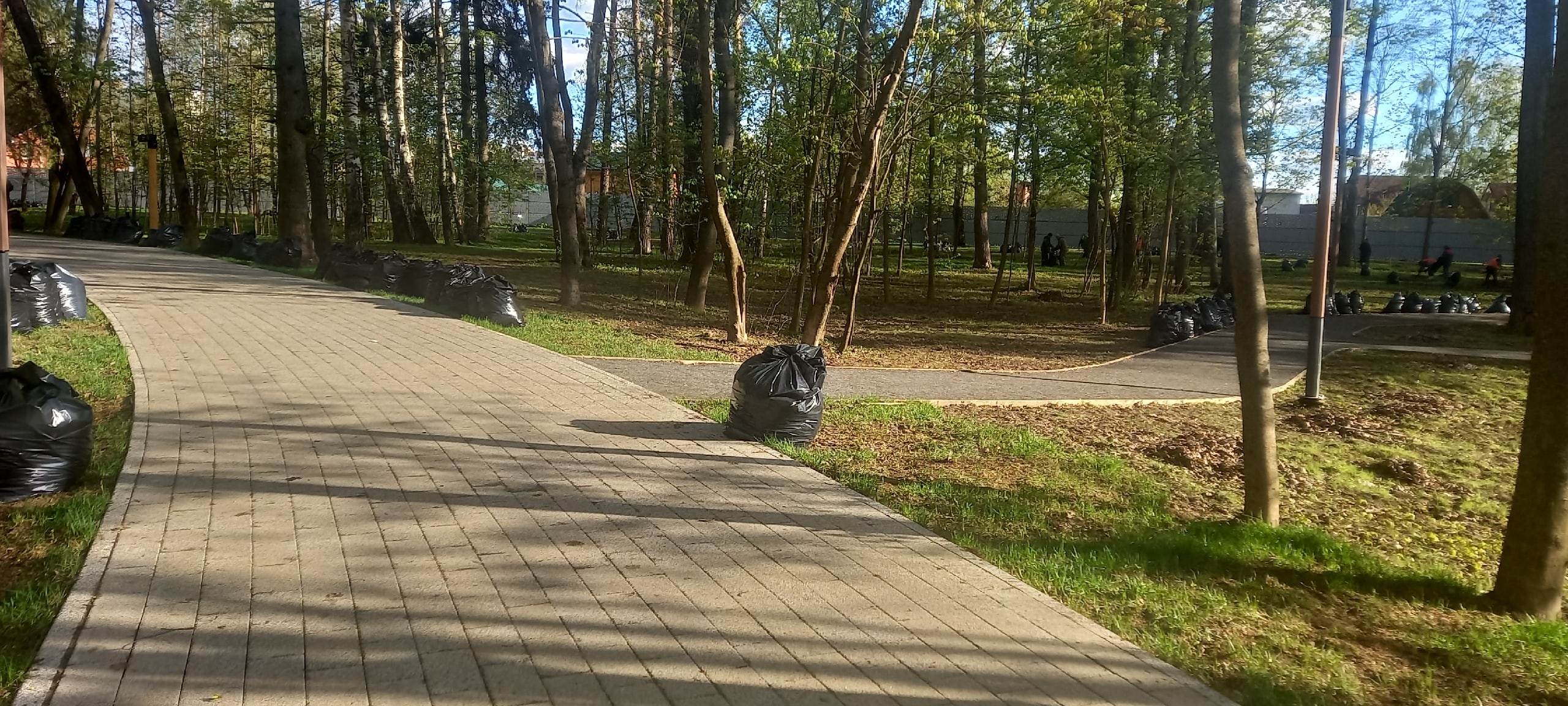 Спасибо за чистый парк — Краснознаменск