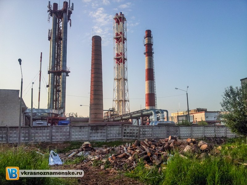 Традиционная прогулка по Краснознаменску
