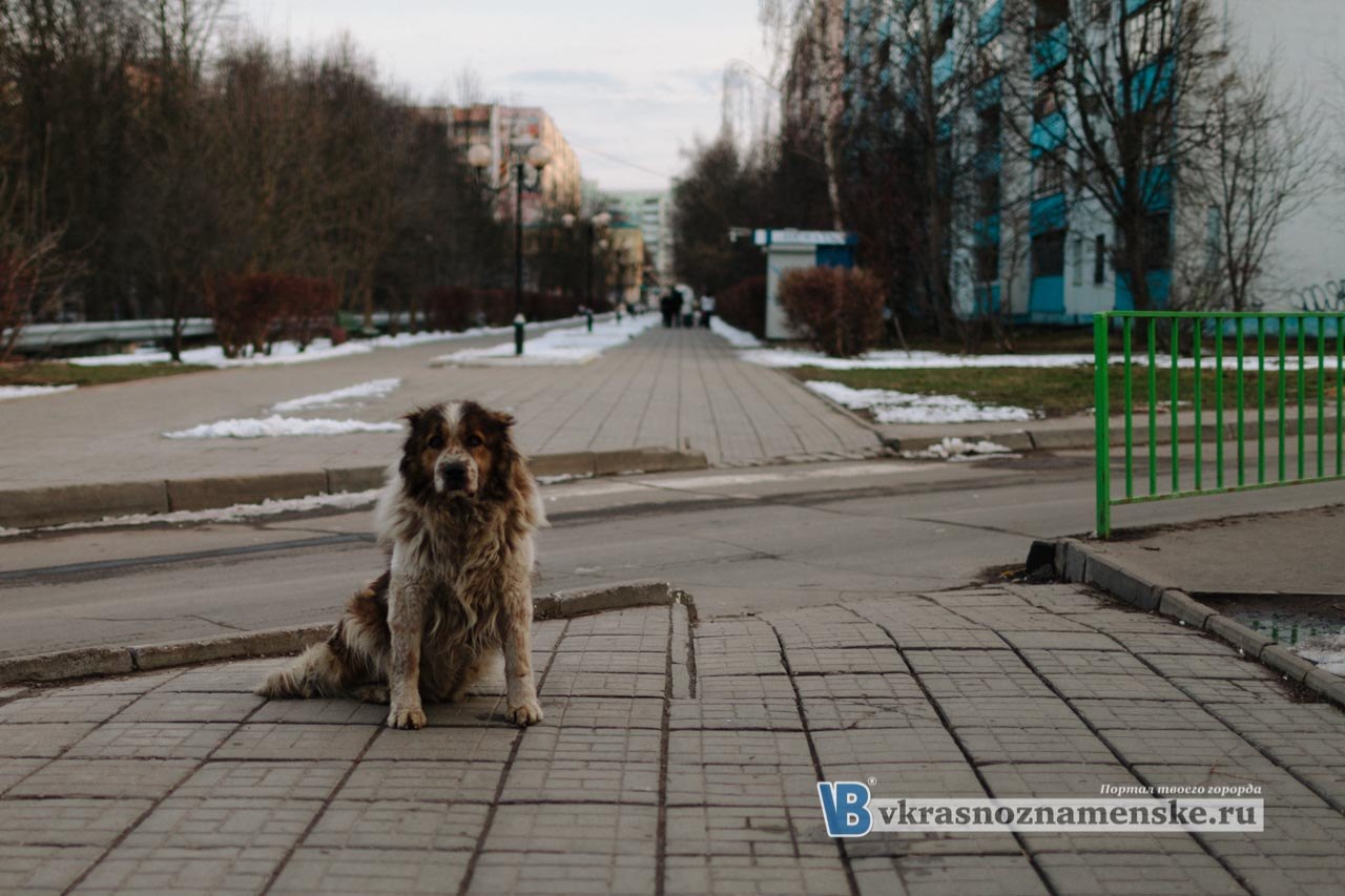 VK -27992616_17181