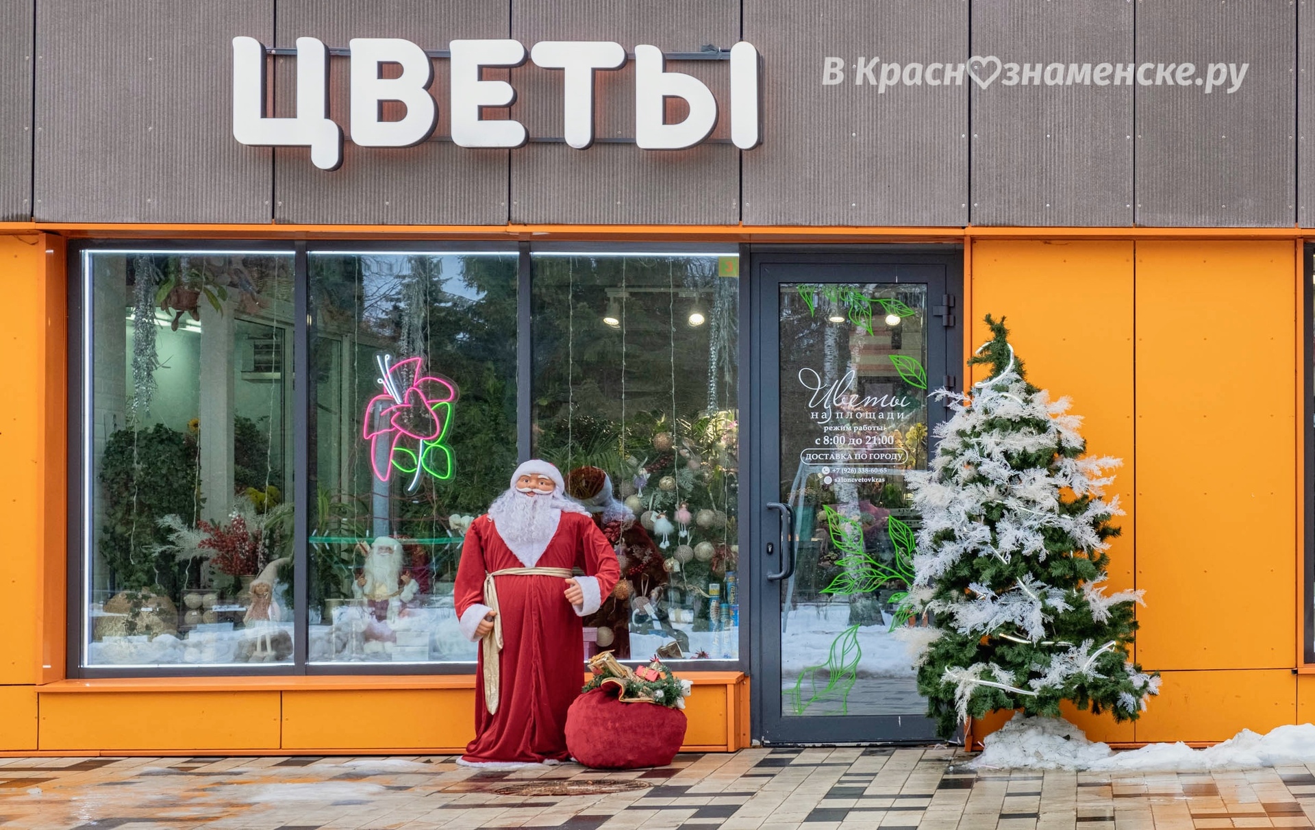 Вот и в центре ёлочку нарядили) — Краснознаменск
