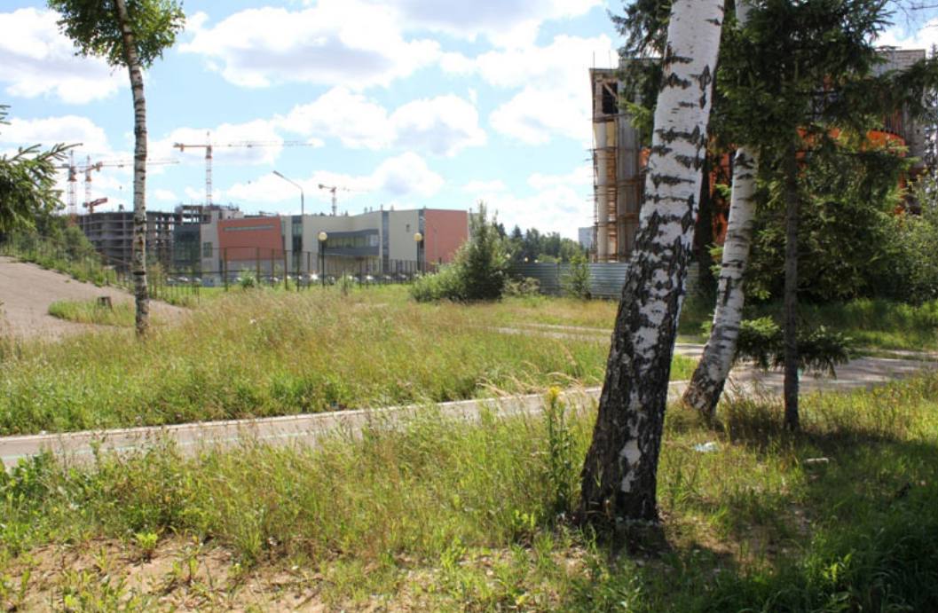 Небольшой фотообзор Городского парка — многим, наверно, слож