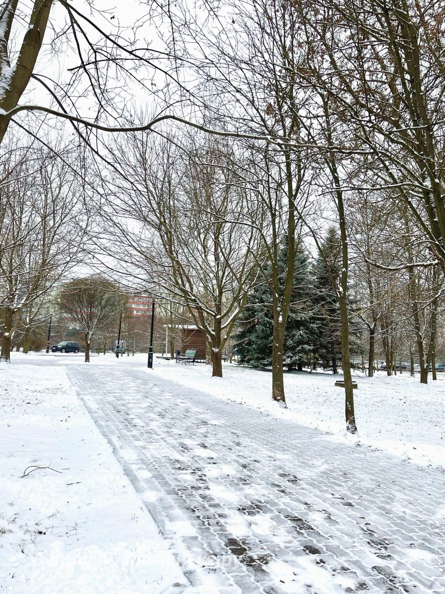 Снежная прогулка ❄️  © в Краснознаменске.ру Мы в telegram: t
