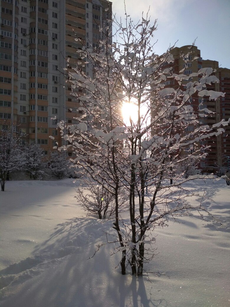 Как красиво на улице в нашем прекрасном городе ????????????