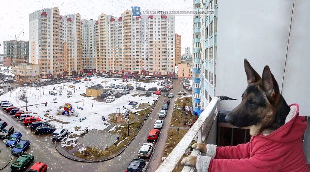 Доброе утро Краснознаменск ????