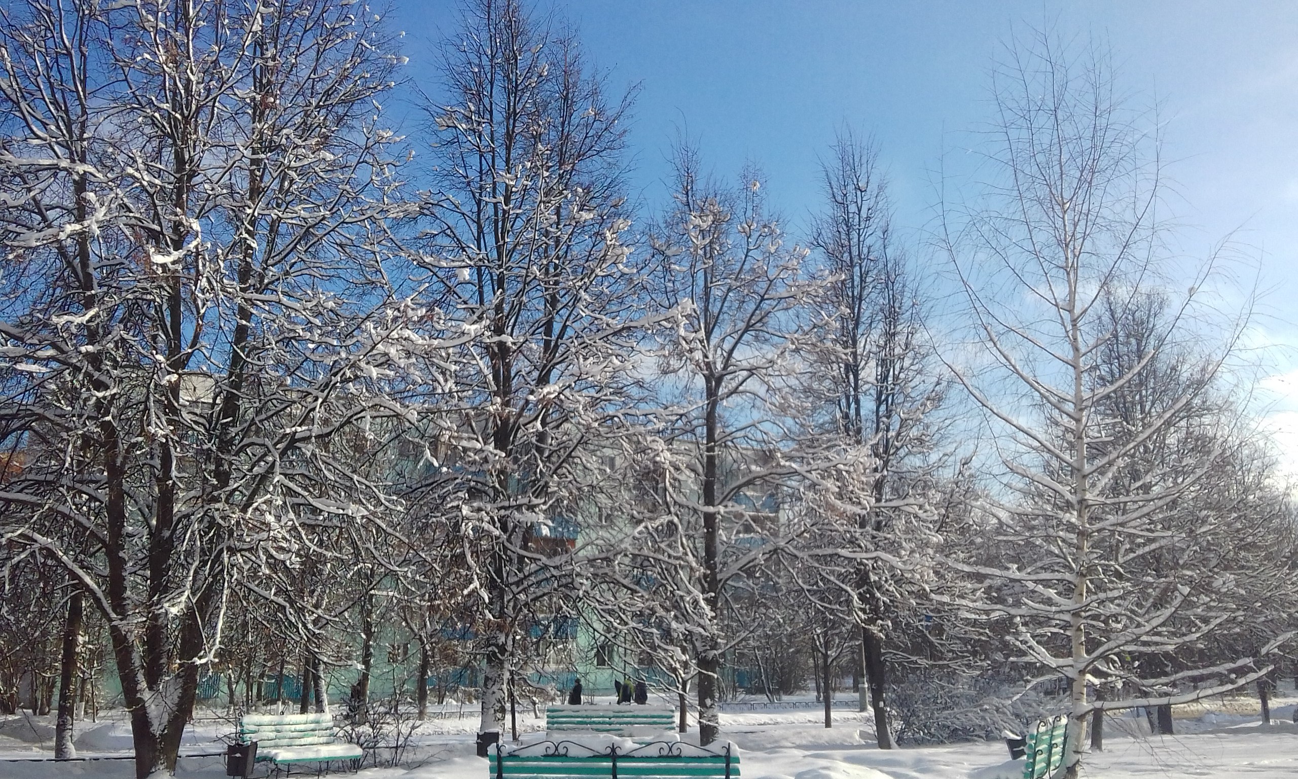 VK -27992616_312117
