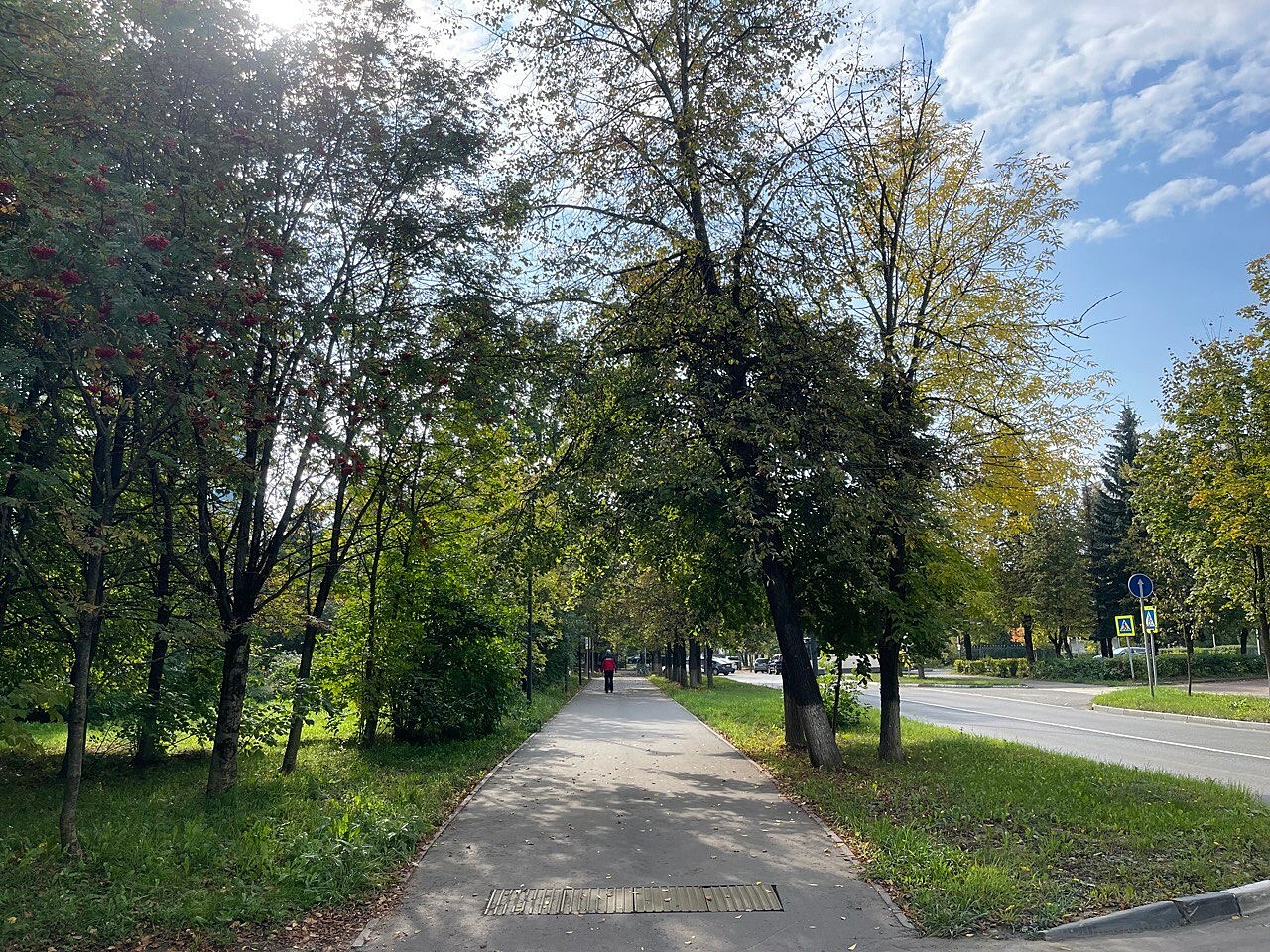 Наступает осень золотая в Краснознаменске.