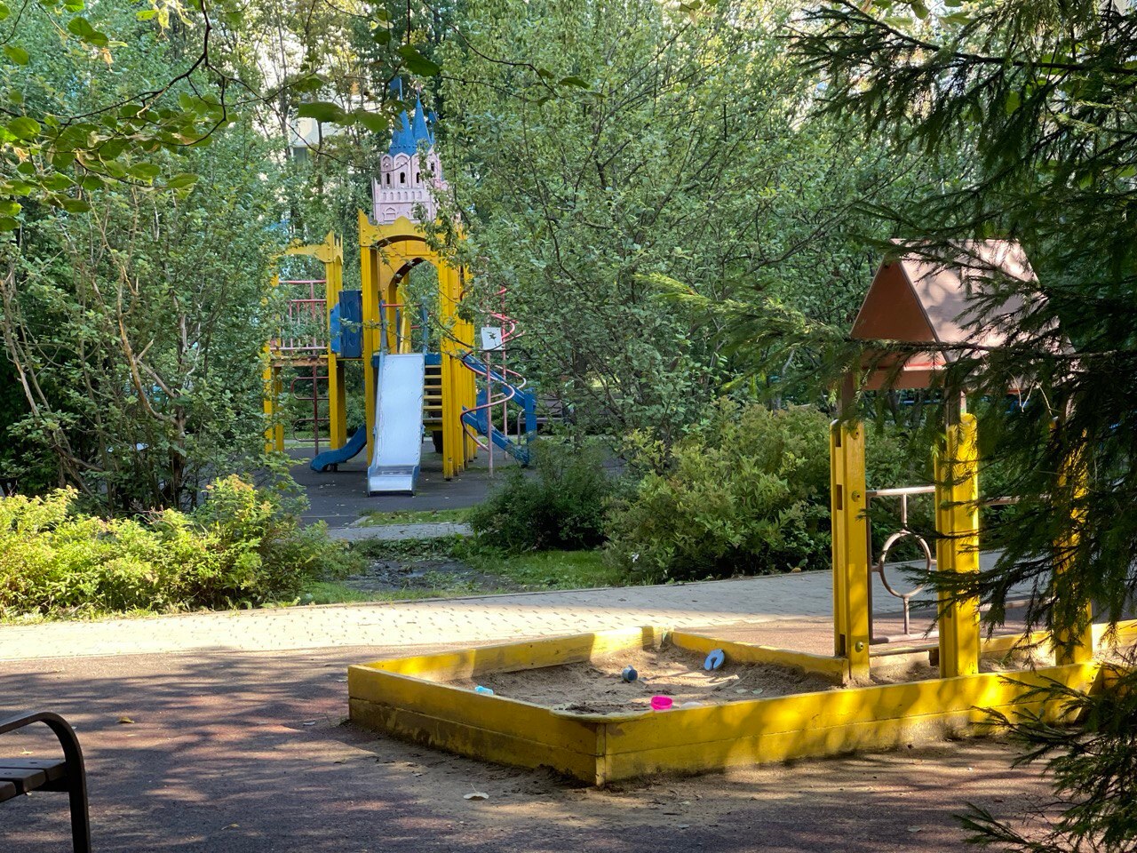 Прогулка по городу. — Краснознаменск