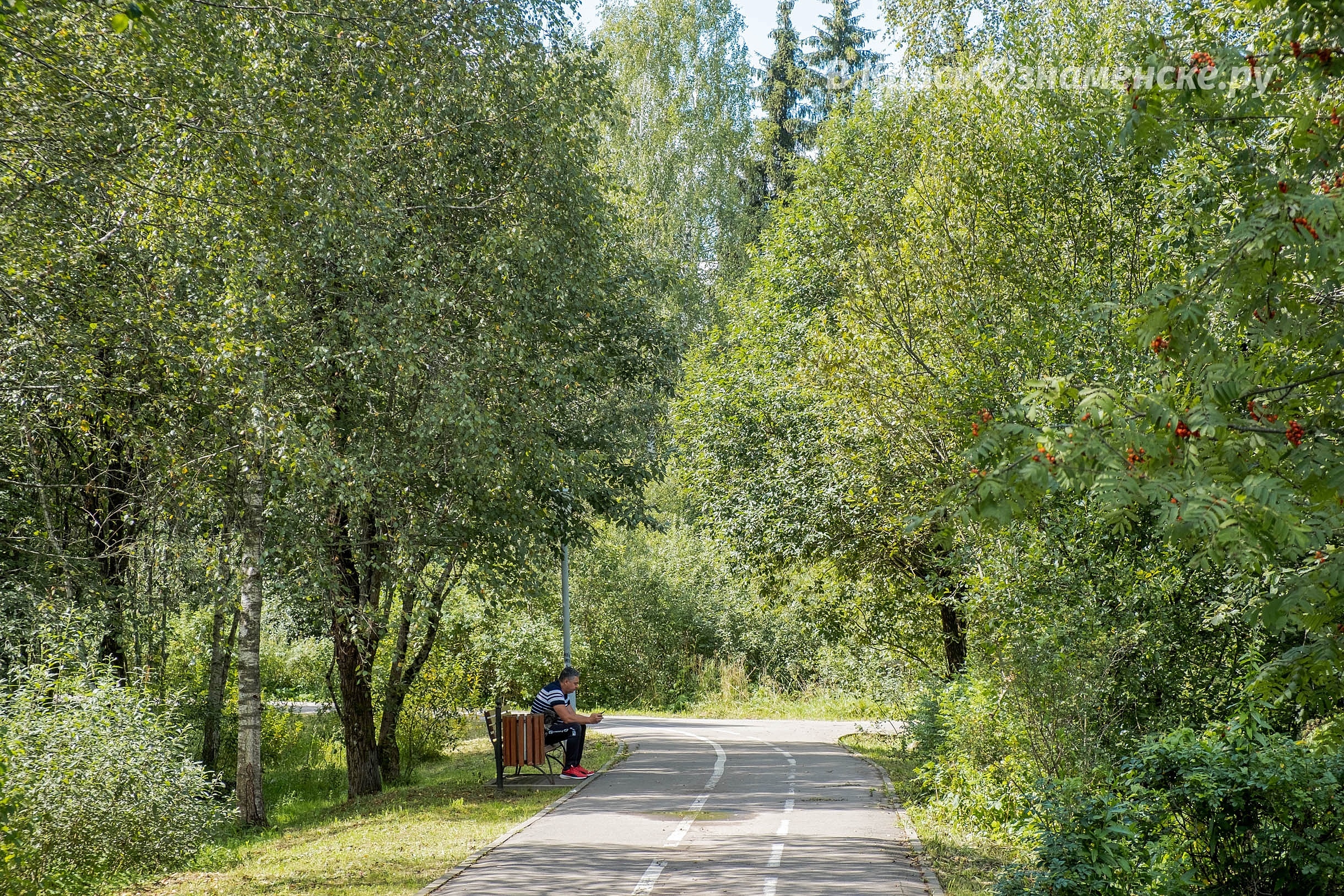Летняя прогулка по Городскому парку — Краснознаменск