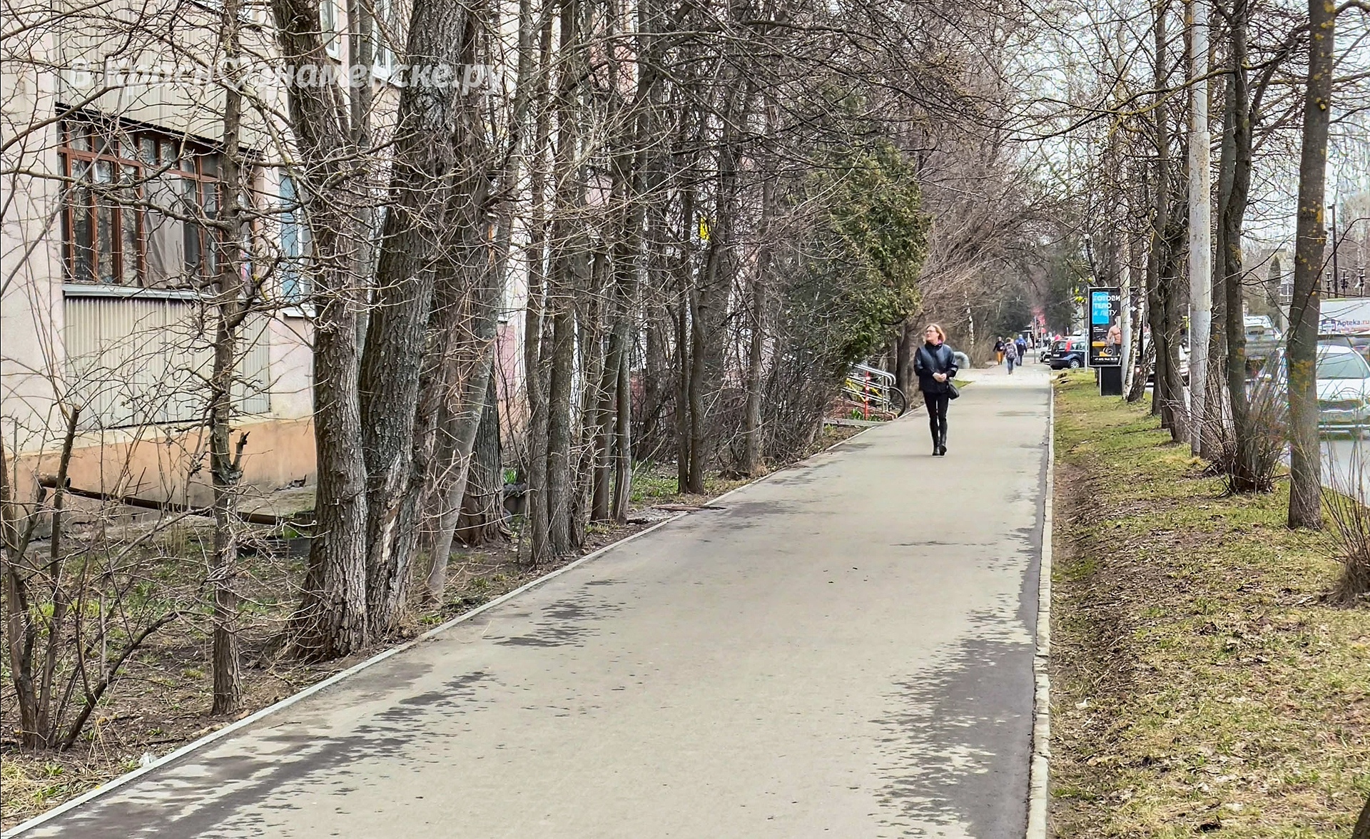 Небольшая прогулка по улицам Краснознаменска