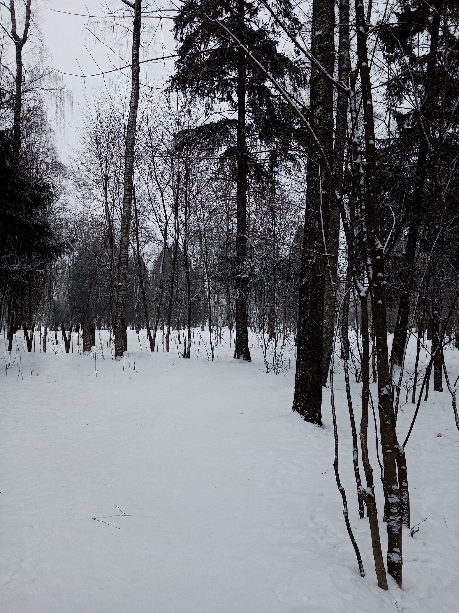 VK -27992616_760709 — Краснознаменск