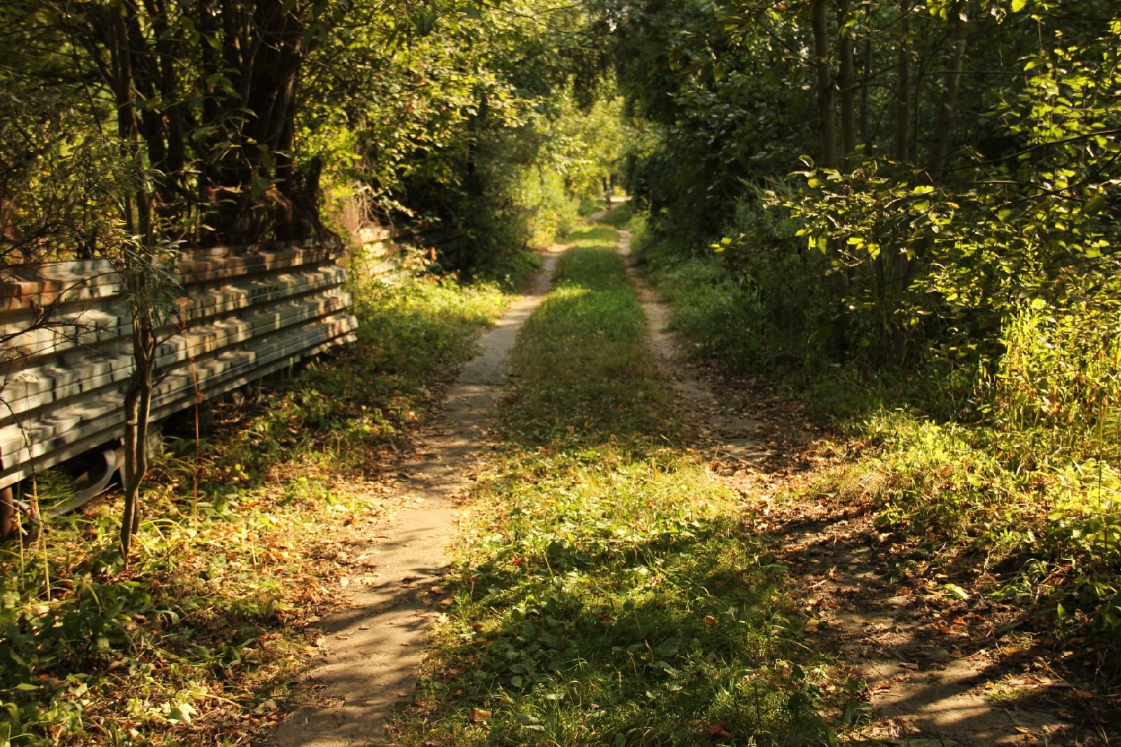 В парке Краснознаменска.