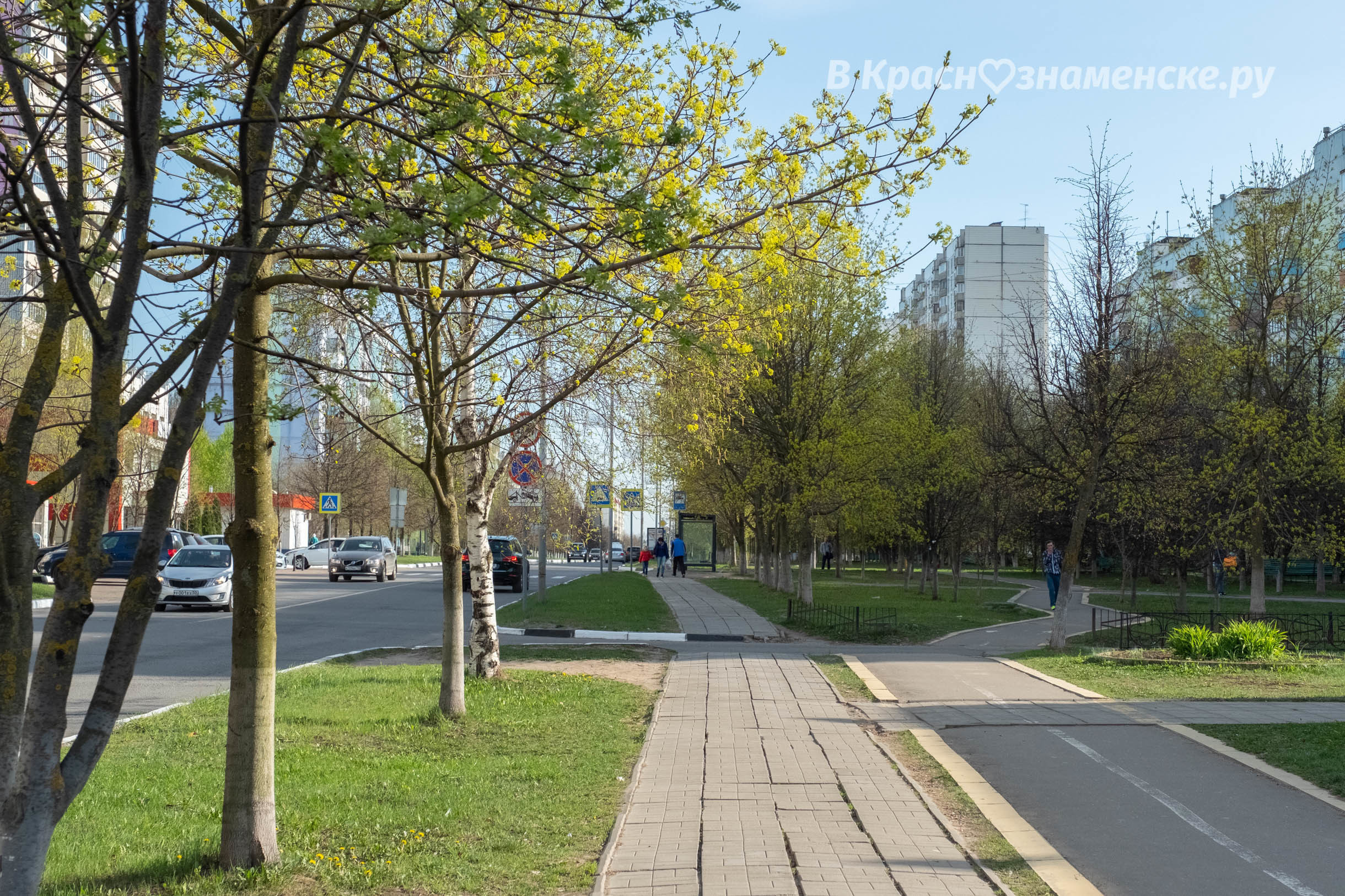 Доброе утро, Краснознаменск! Утром +15°…+21°, Небольшой дожд