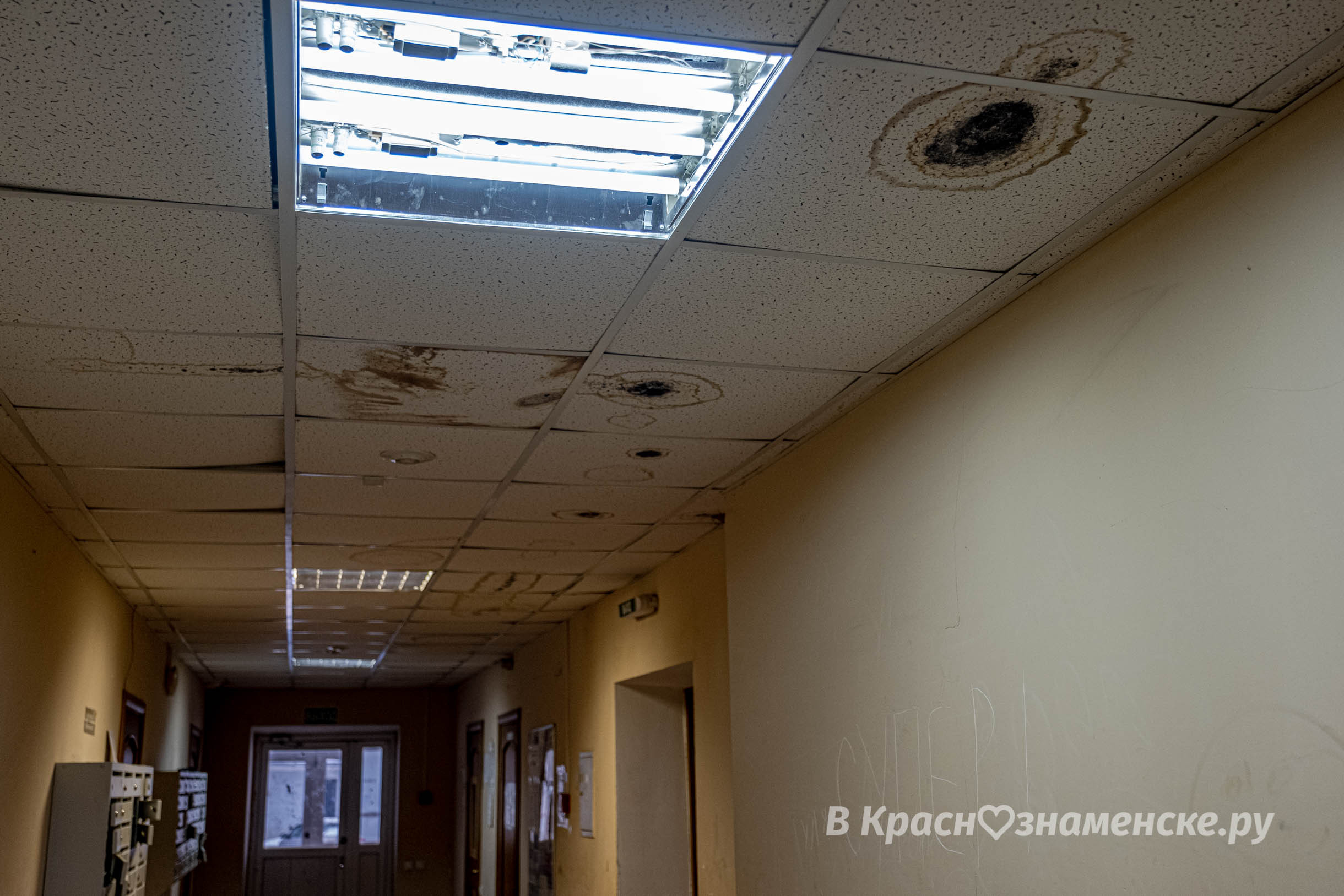 Фото 44907 — Краснознаменск