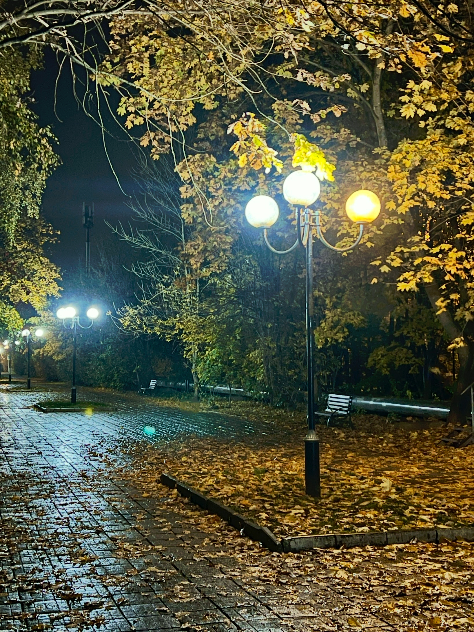 Фото 57453 — Краснознаменск