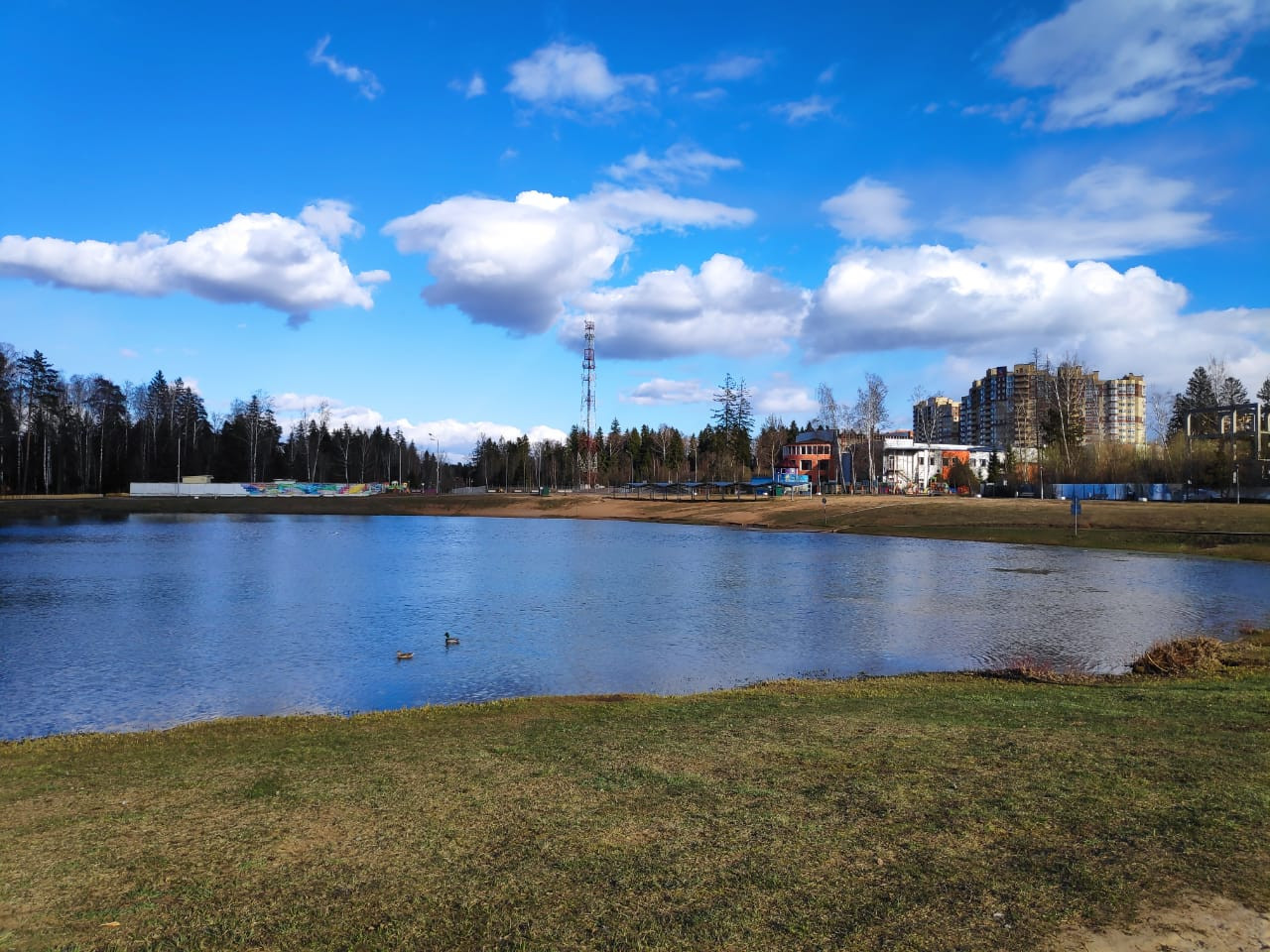 Фото 8283 — Краснознаменск