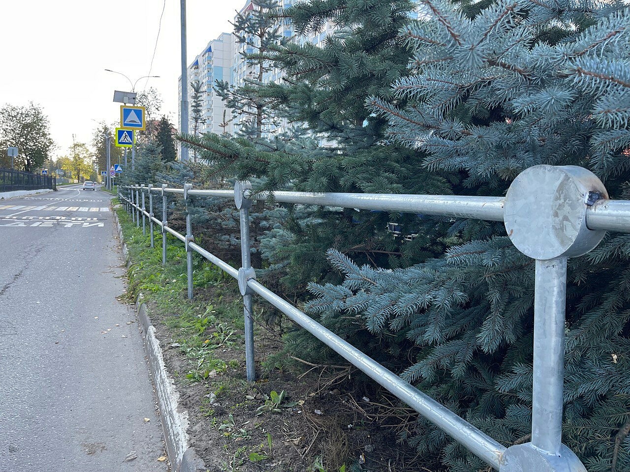 Фото 40284 — Краснознаменск