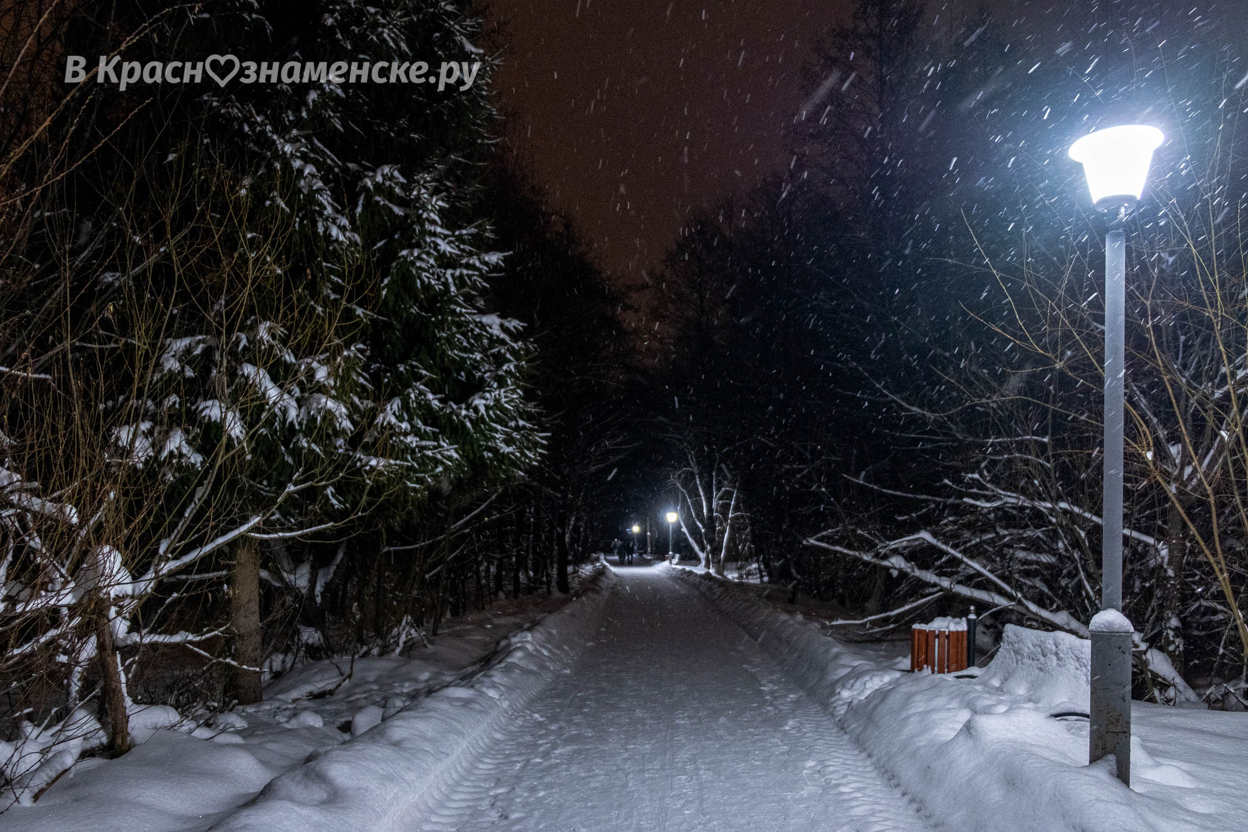 Вечерняя прогулка в городском парке — Краснознаменск