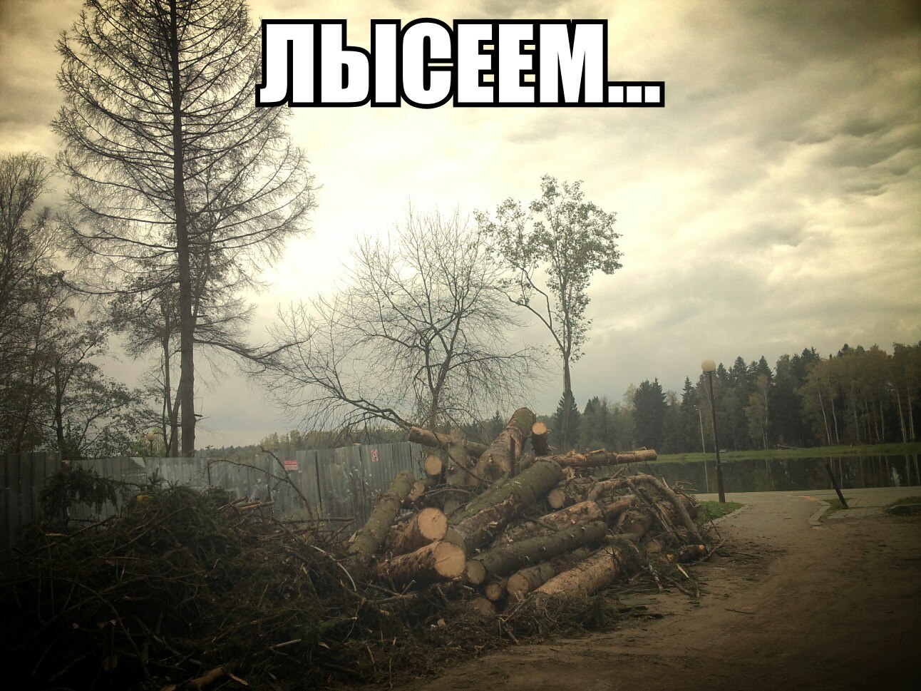 VK -27992616_7695