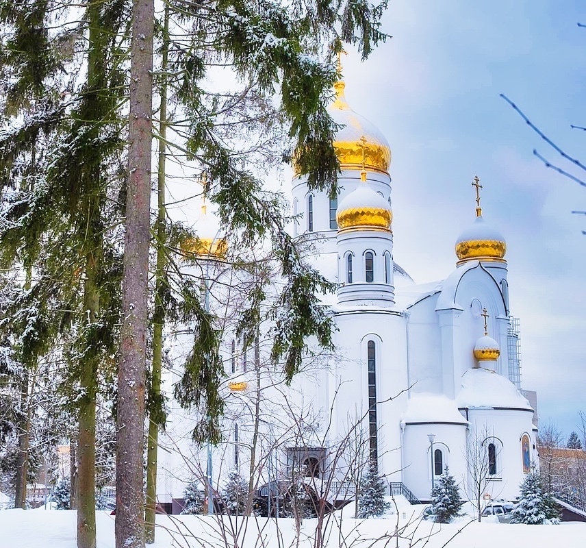 С Рождеством Христовым, дорогие краснознаменцы!  Пусть этот