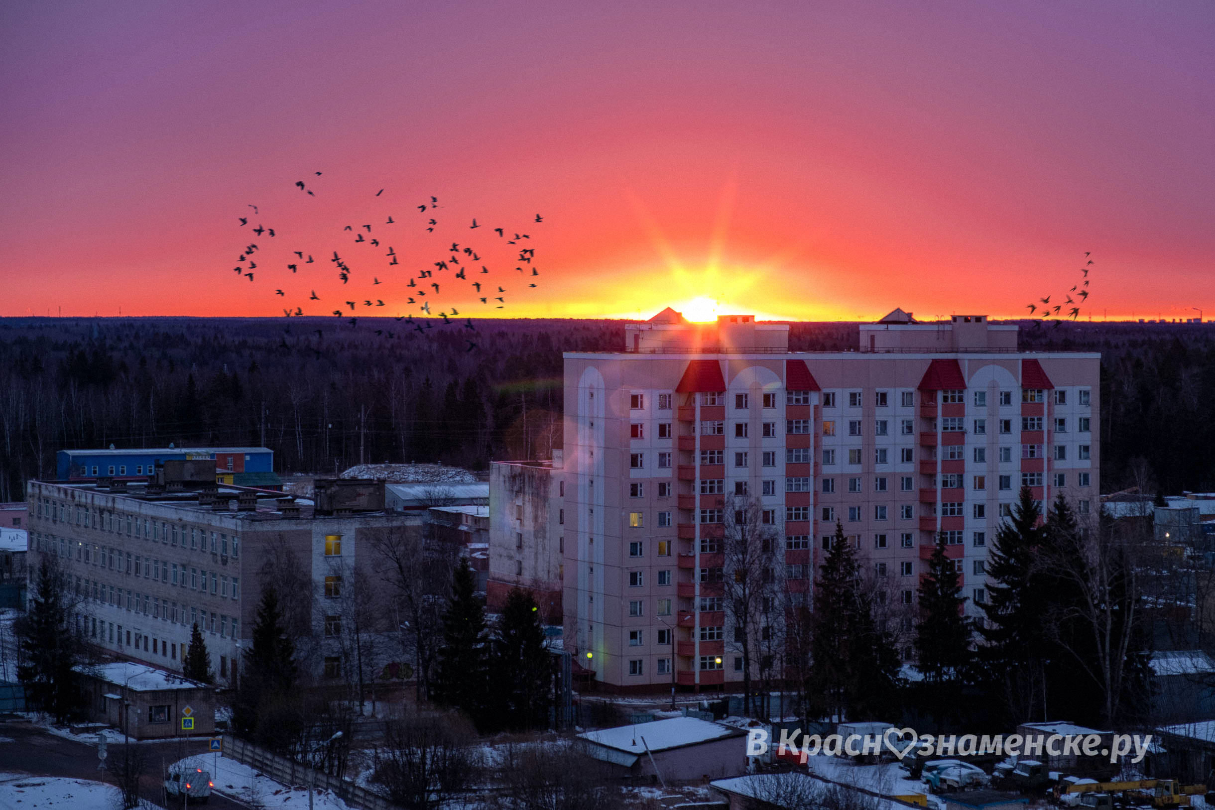 Исходник фотографии Екатерина Кошкова — Краснознаменск