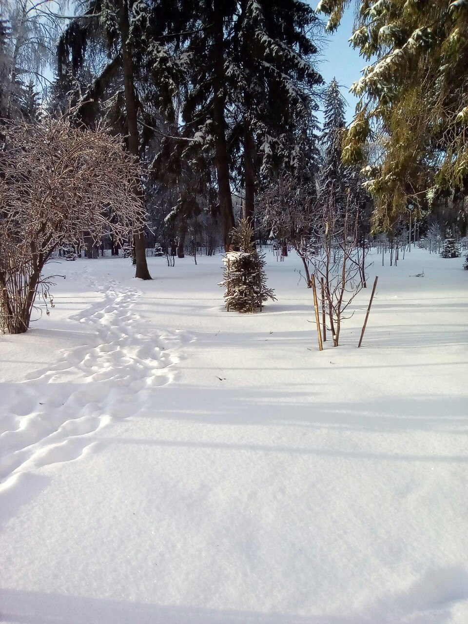 Сегодня было волшебное утро!))) Не хотелось уходить с улицы)