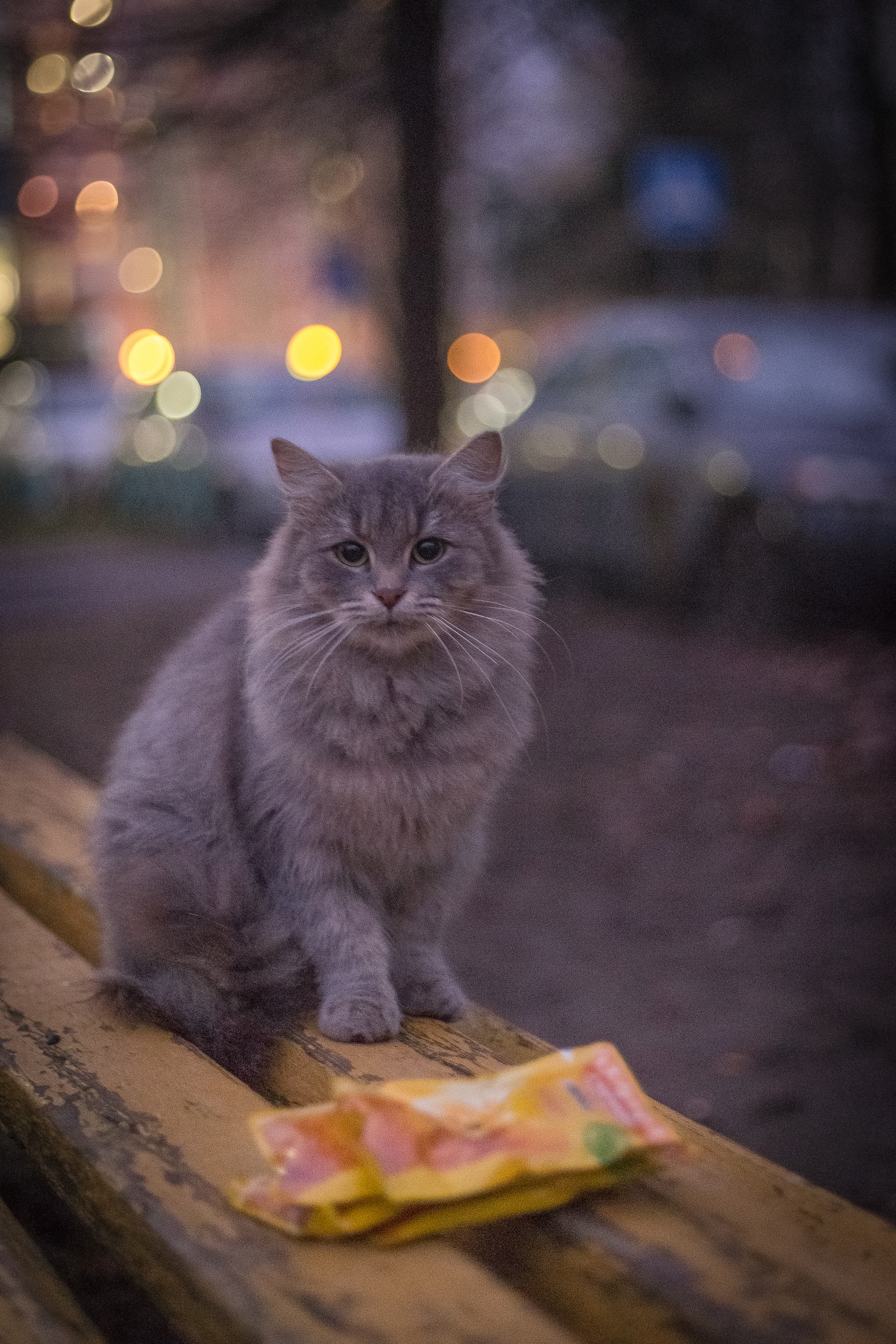 Вечереет????  ???? Марина Маринина — Краснознаменск