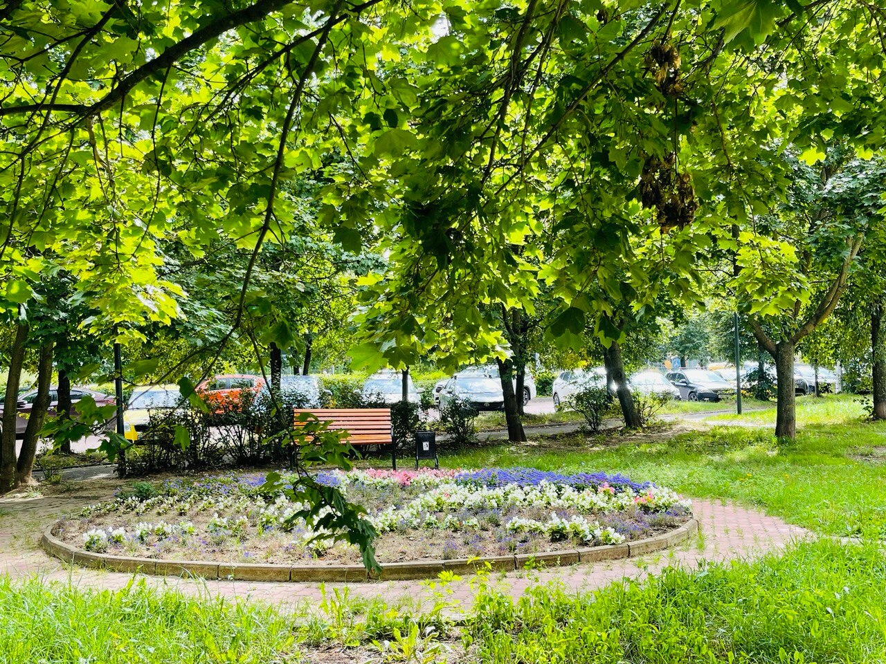 Прогулка по городу. — Краснознаменск