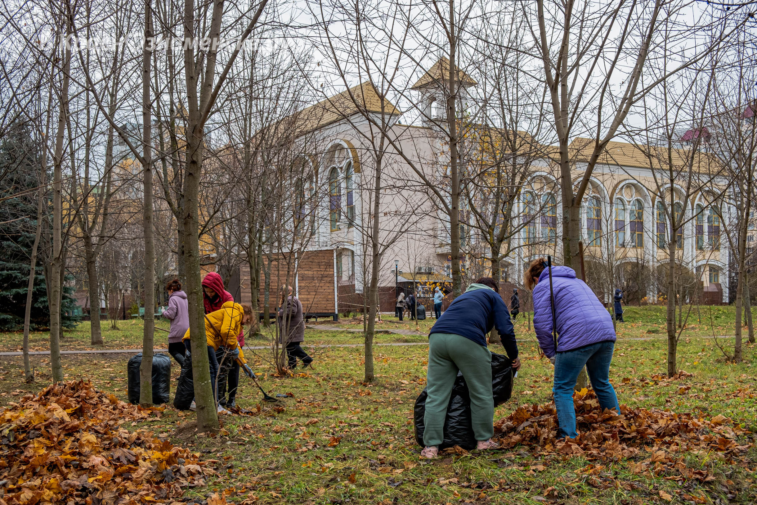 Фото 31155 — Краснознаменск