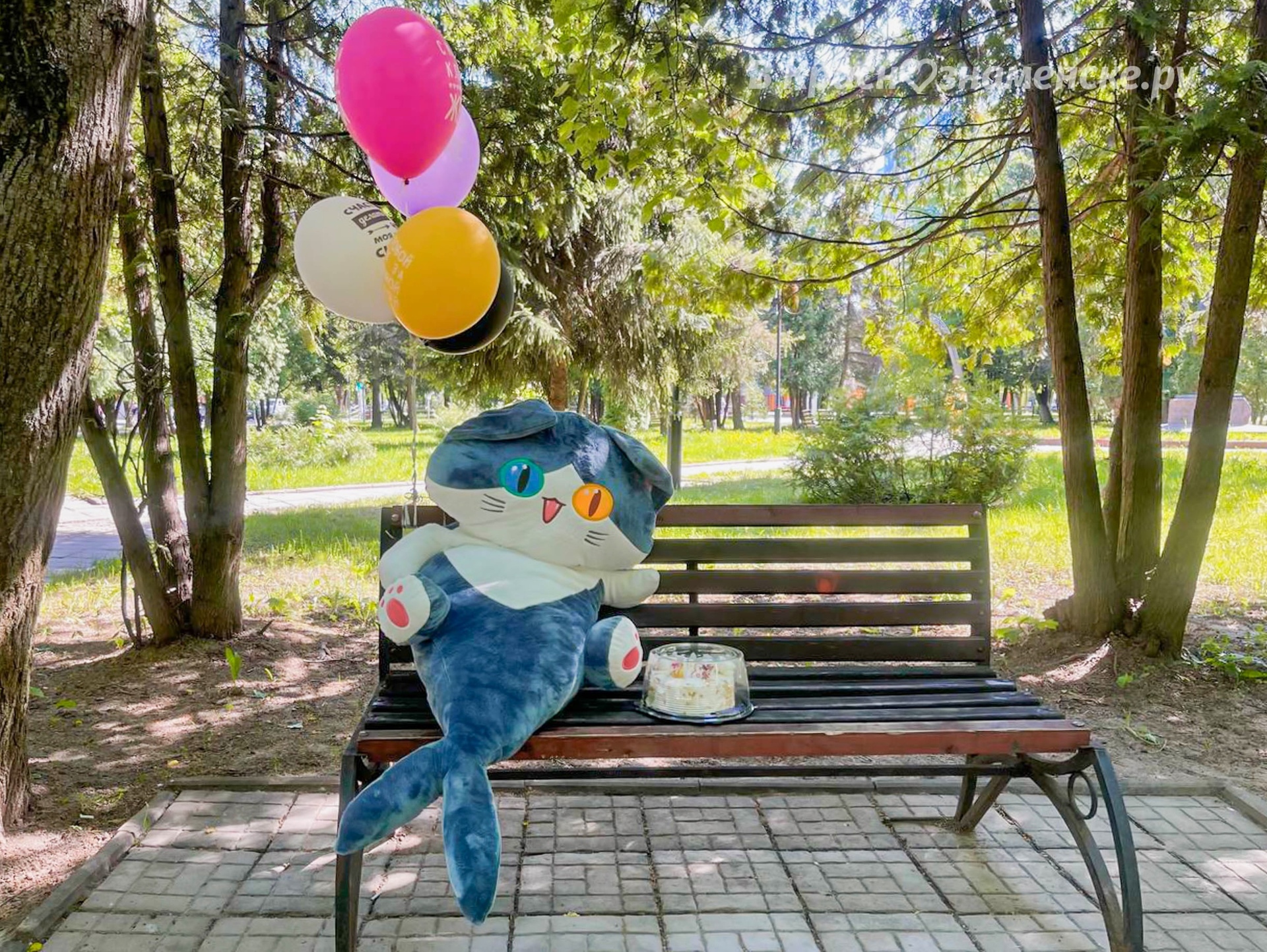 Придумайте название к фото)