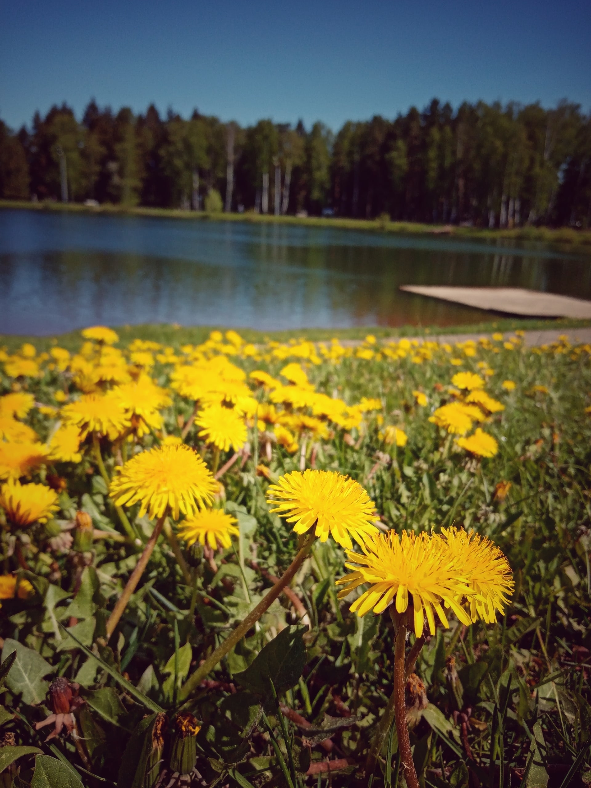 Парк.