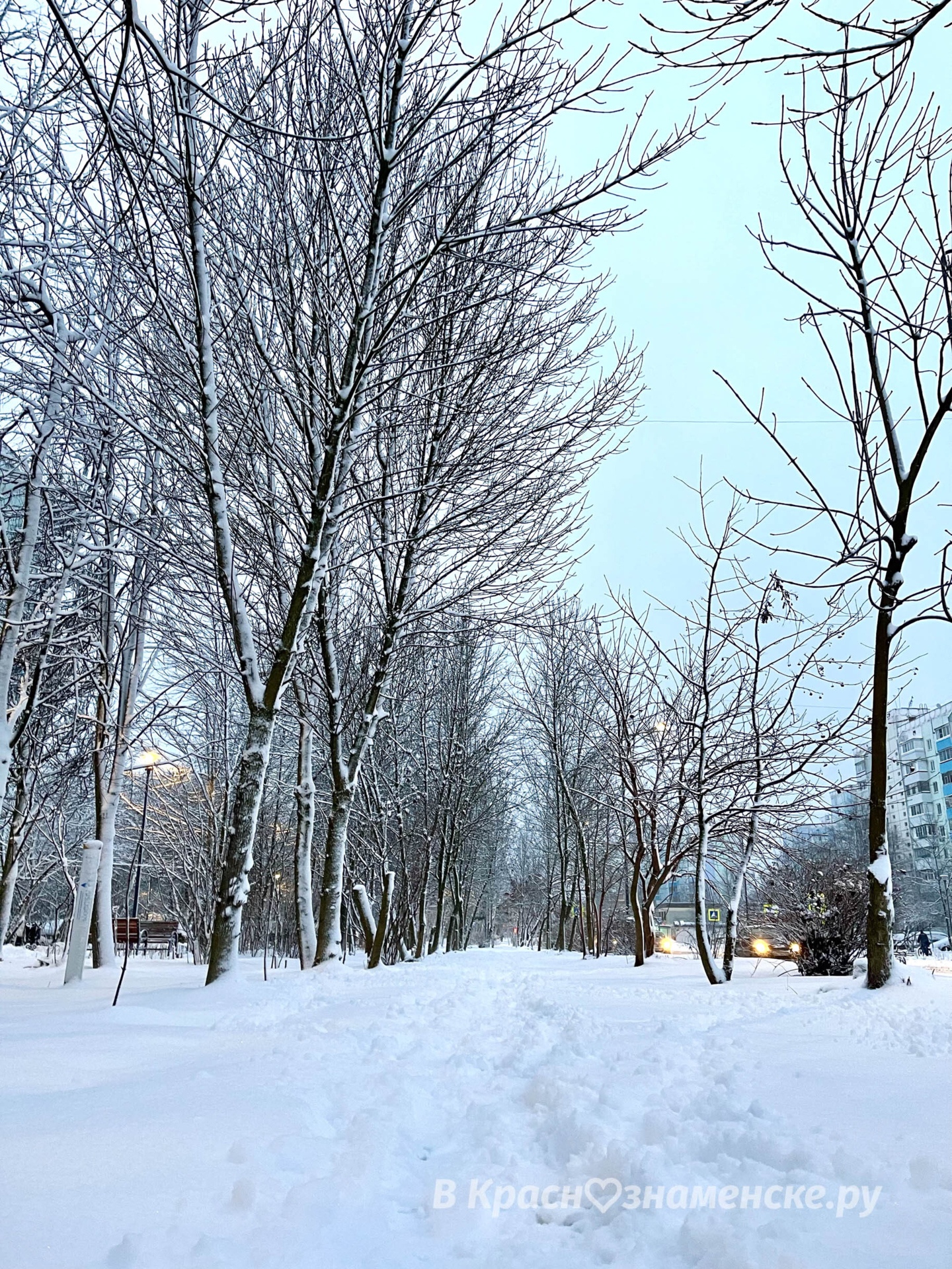Утренняя прогулка по снежному городу ❄️  © в Краснознаменске