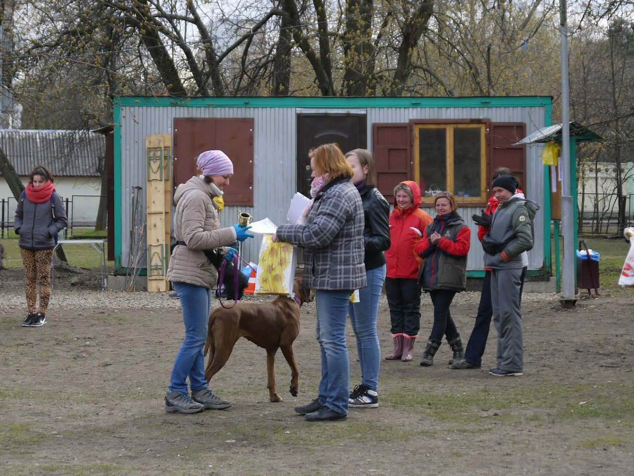 Мы с Орсюшей получаем номинацию за хитроумность)))) Традиционное монопородное соревнование по ОКД среди родезийских риджбеков "Рыжий, АП!" Москва, 2016 г.