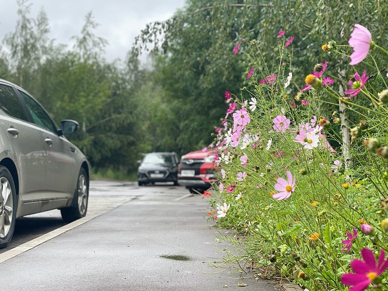 Прогулка по городу — Краснознаменск