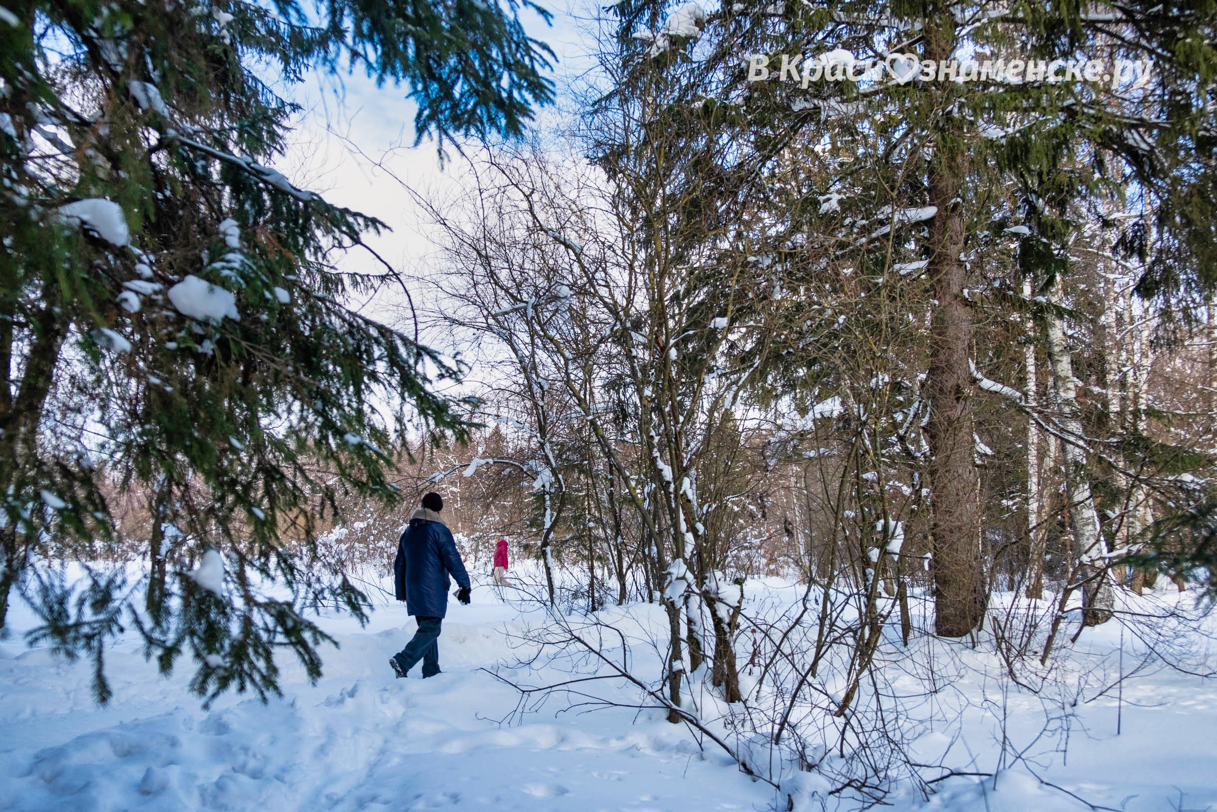 Прогулка по паркам нашего города — Краснознаменск