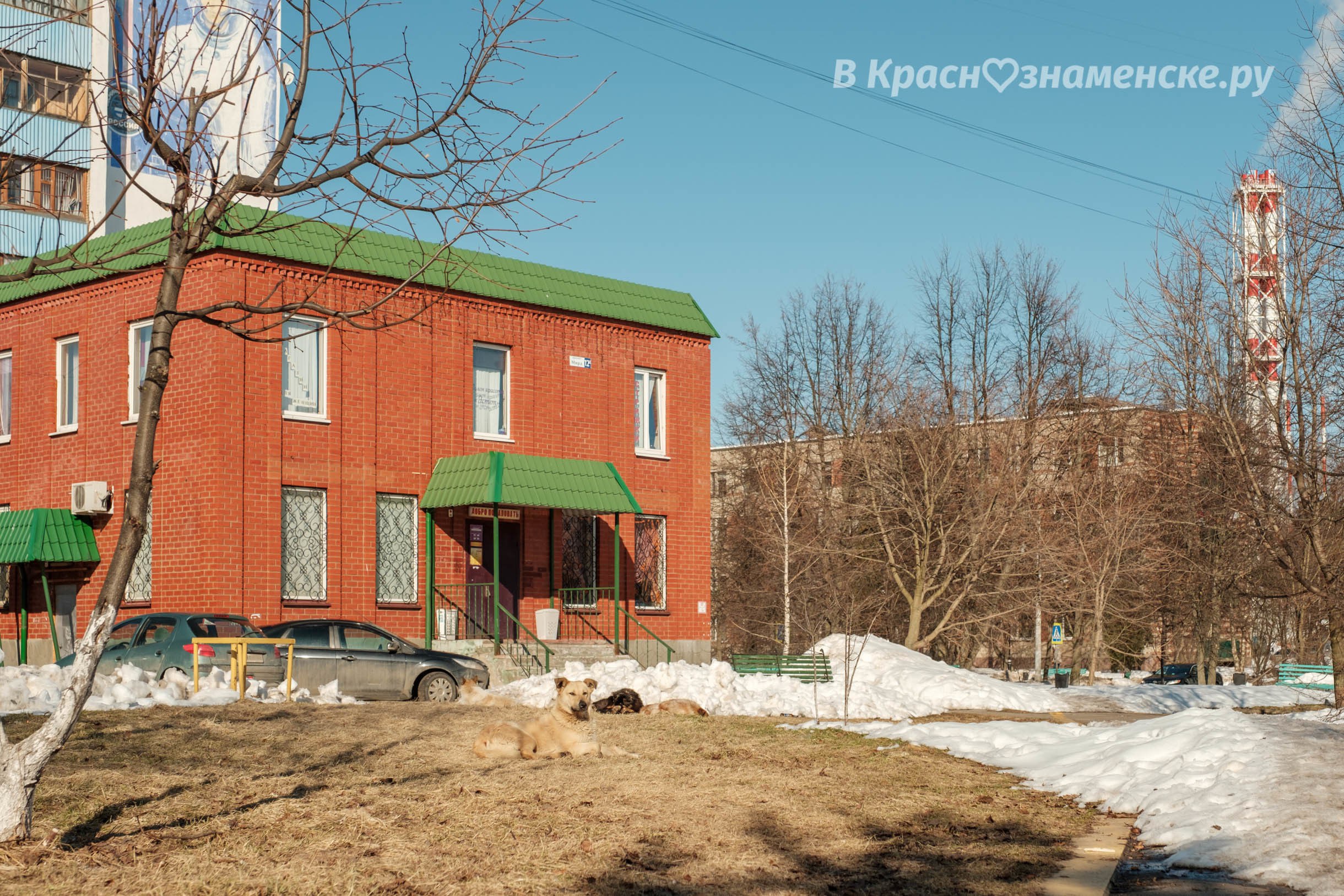 Доброе утро Краснознаменск!