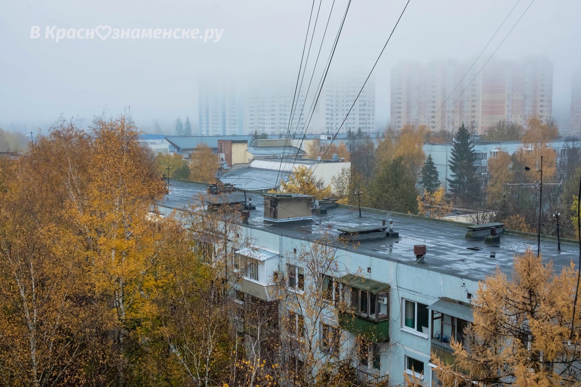 Каким порой атмосферным и мистическим бывает Краснознаменск)