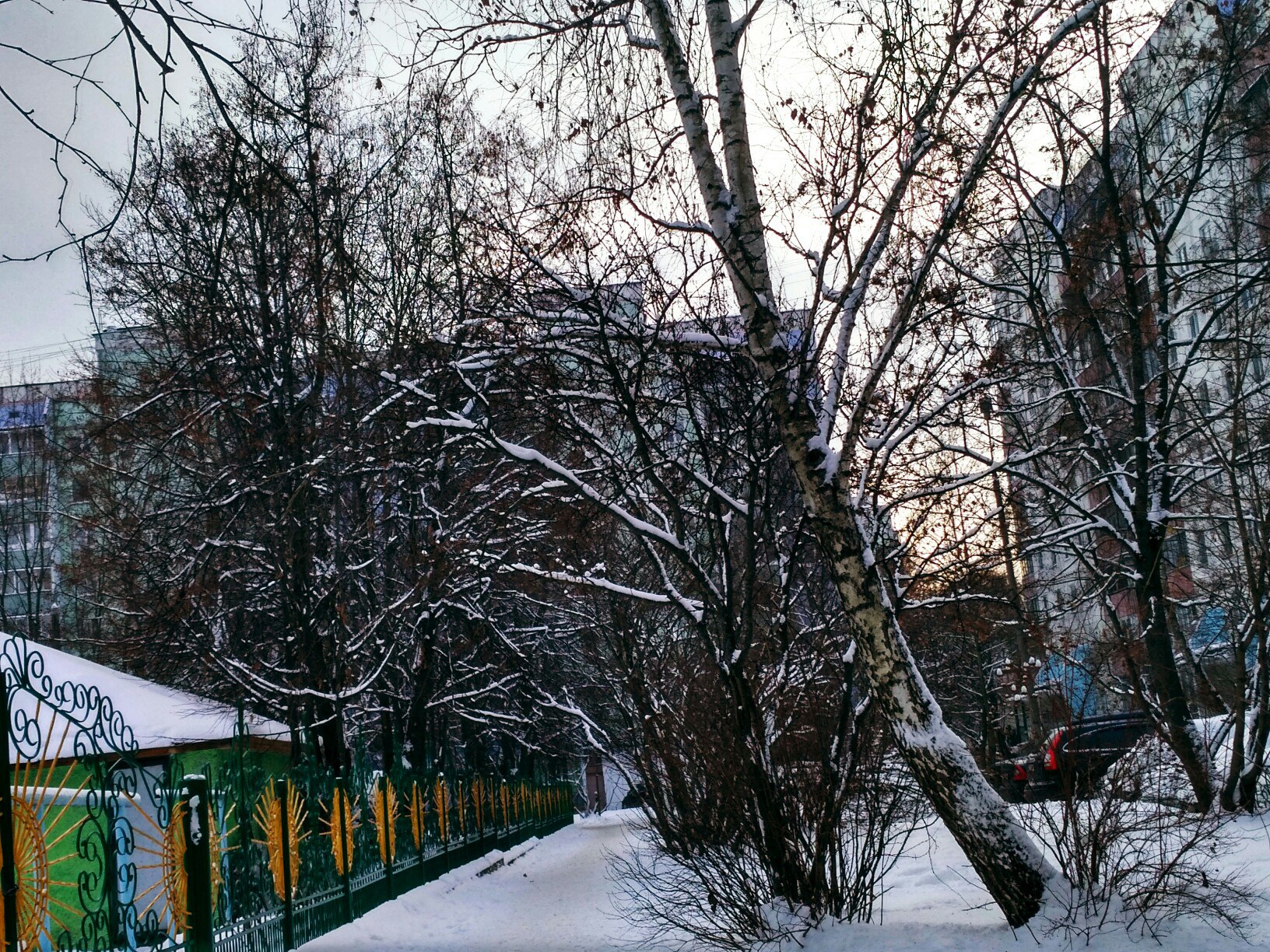 Зимушка зима пришла опять!