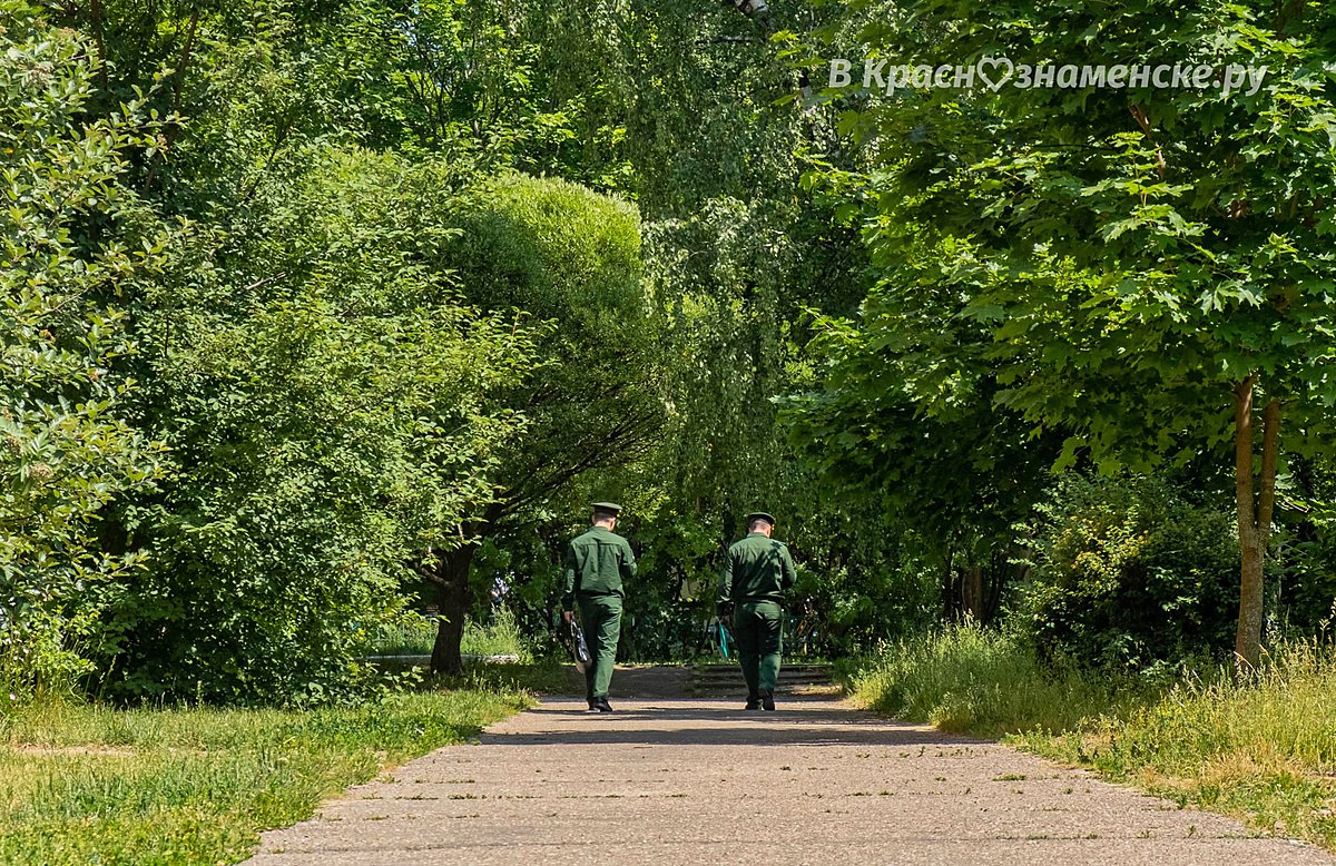 Лето в Краснознаменске