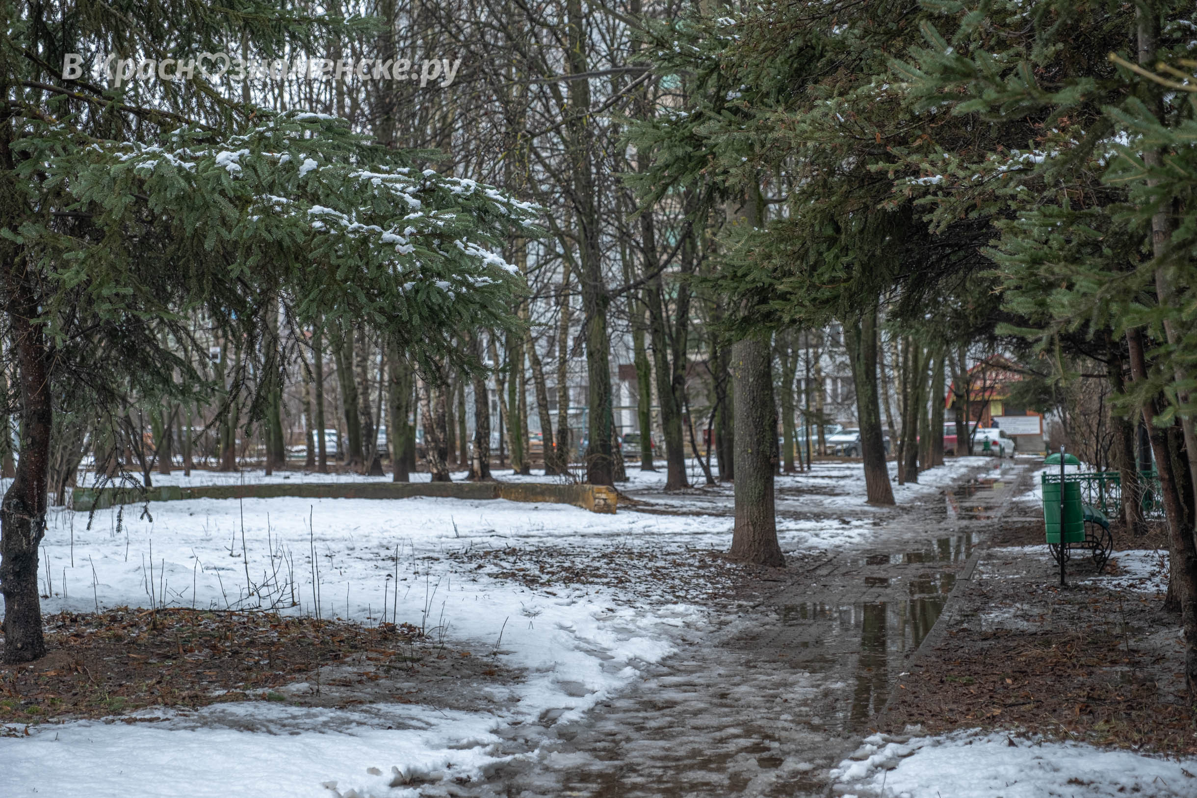 Доброе утро, Краснознаменск! Утром +2°… +7°, Небольшой дождь