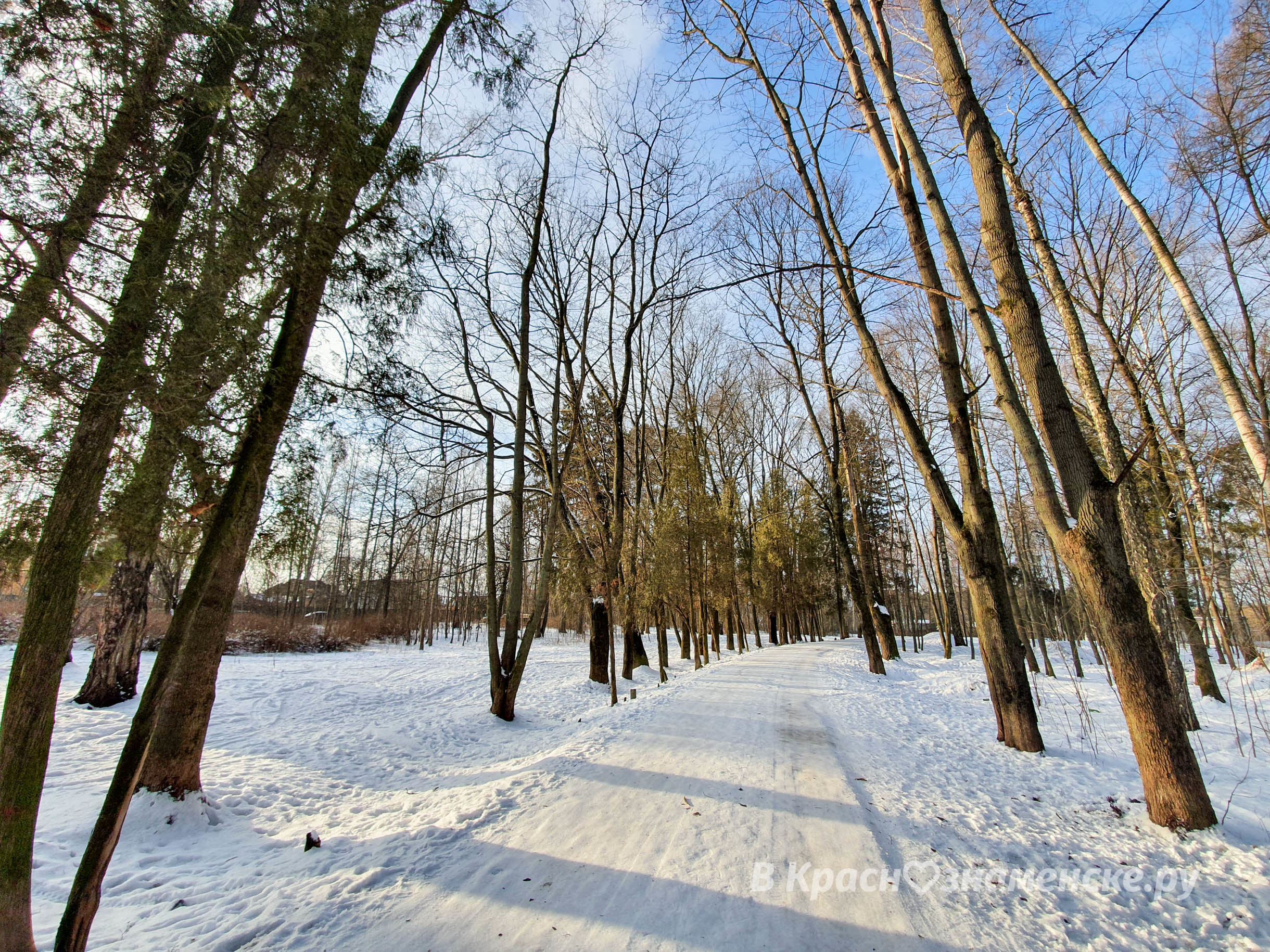Доброе утро, Краснознаменск!❄ Утром -11°... 9°, Небольшой сн