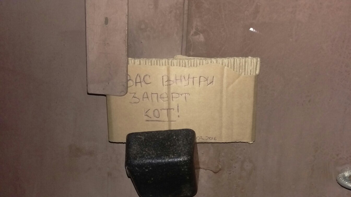 В ГК Фортуна в одном из гаражей заперта кошка ( Как вариант