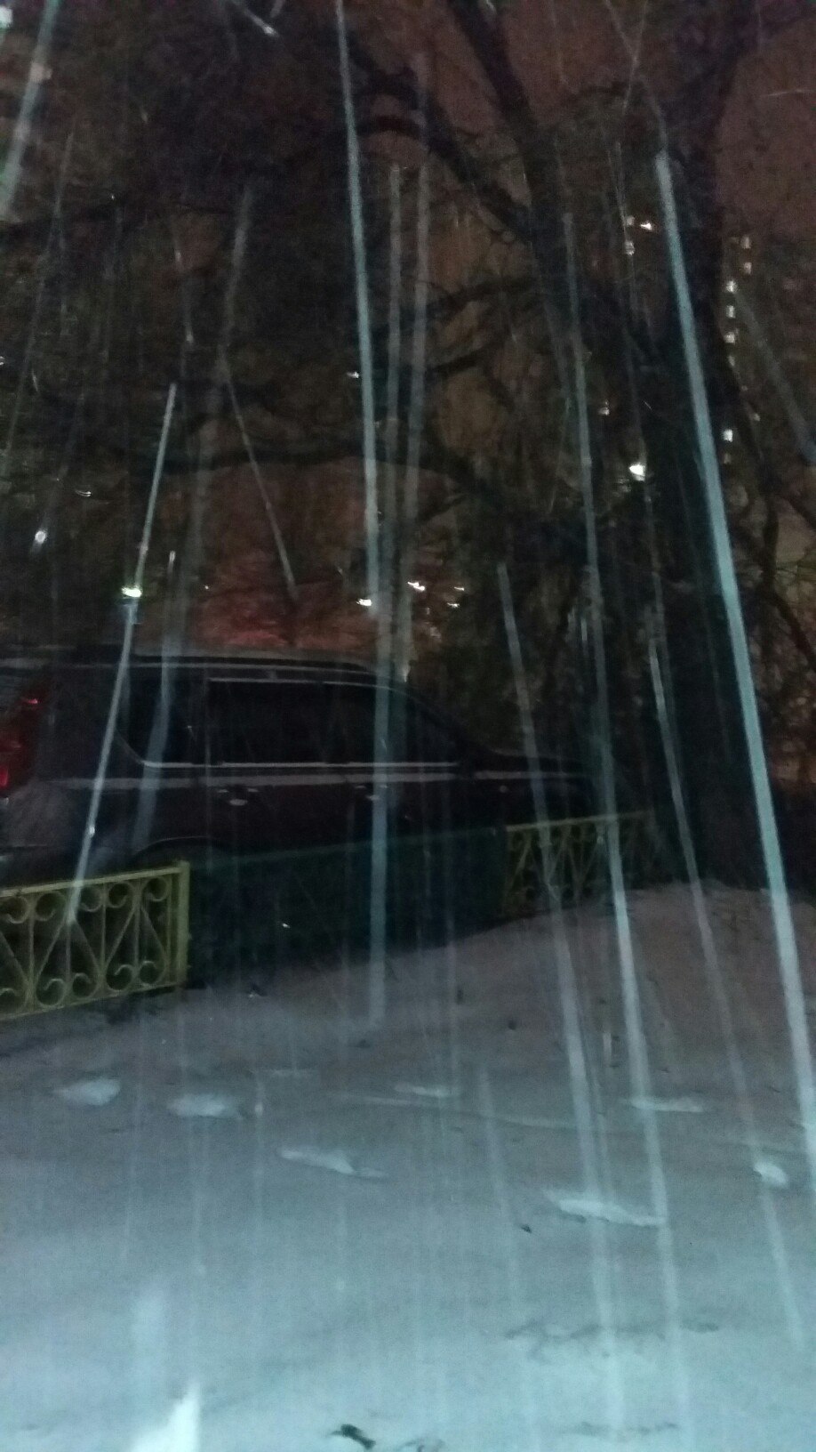 Дерево упало на капот...