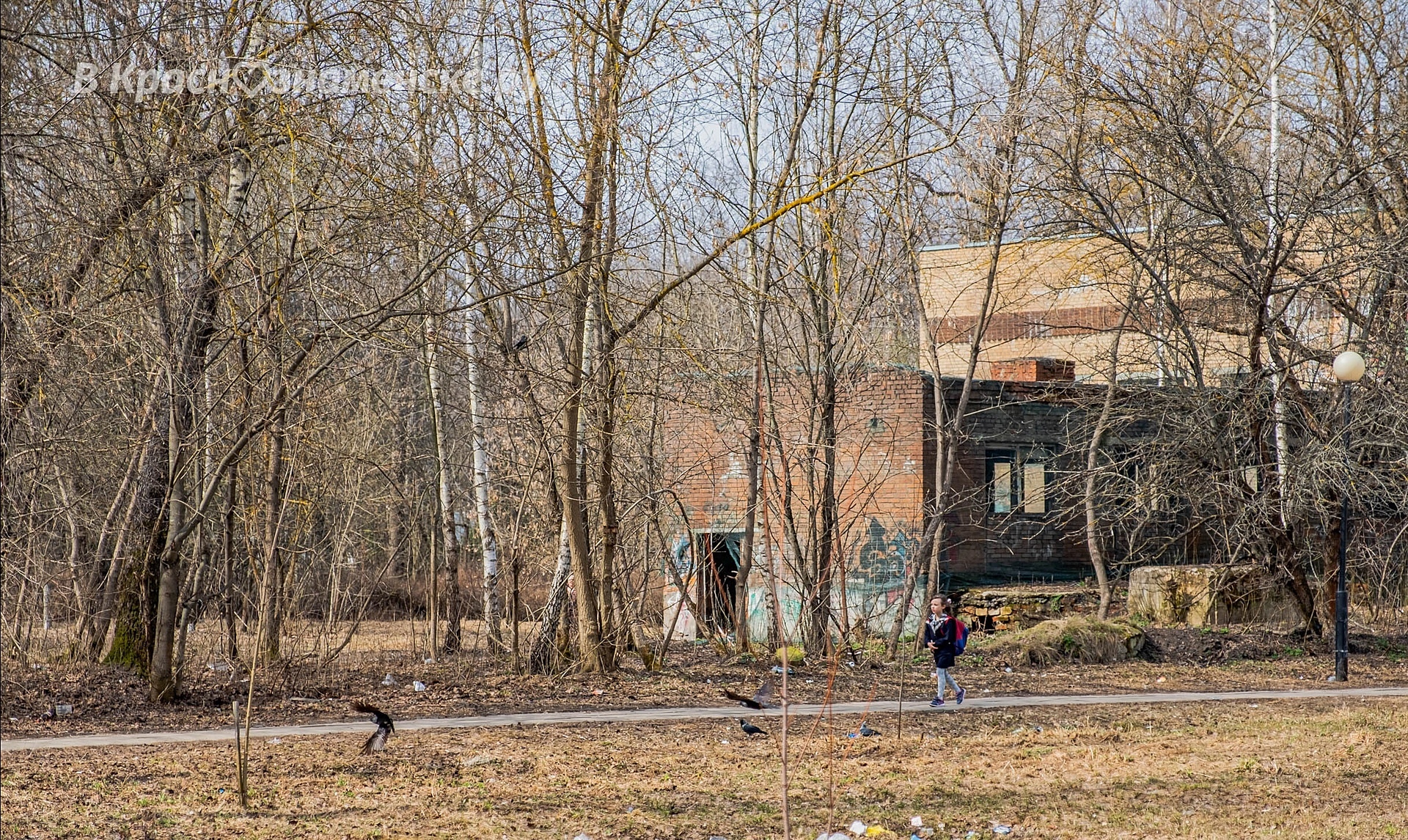 Фото 44639 — Краснознаменск