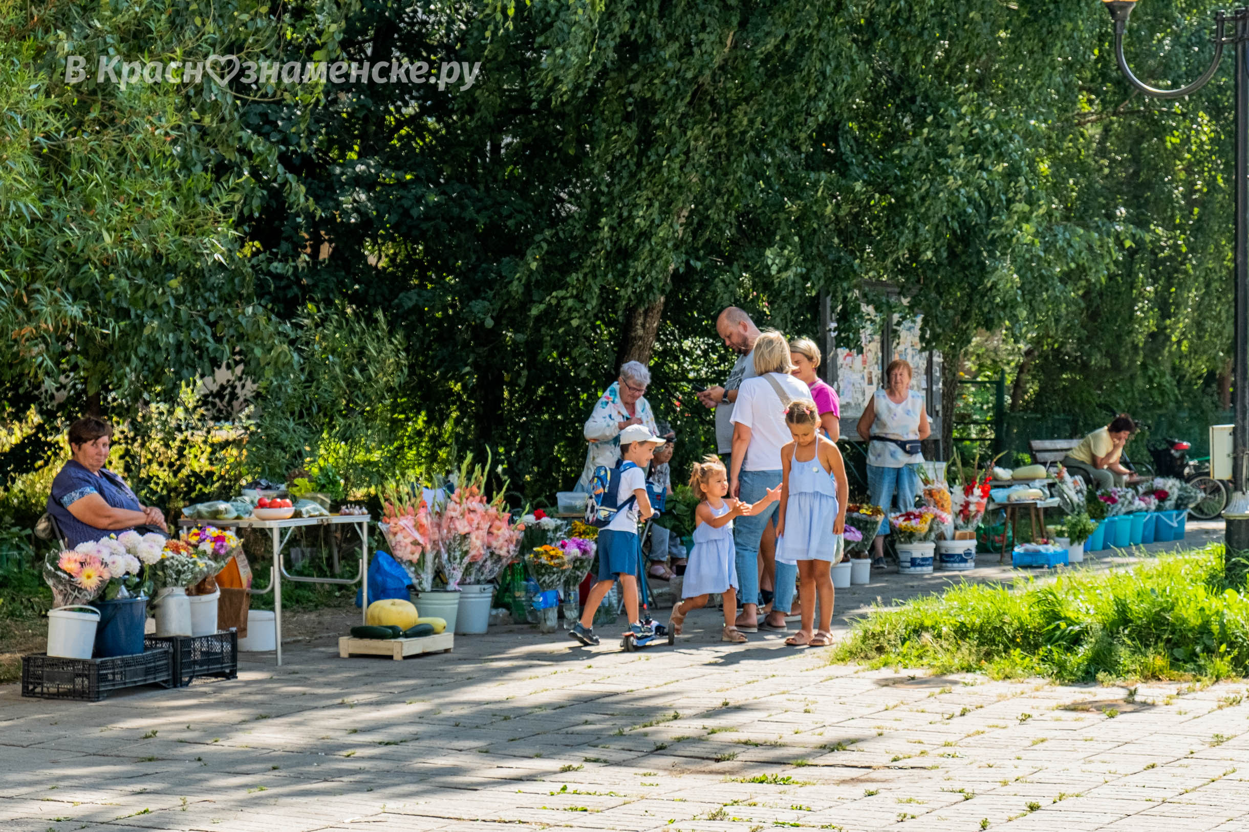 Покупаете ли вы какую-либо продукцию у бабушек торгующих у р