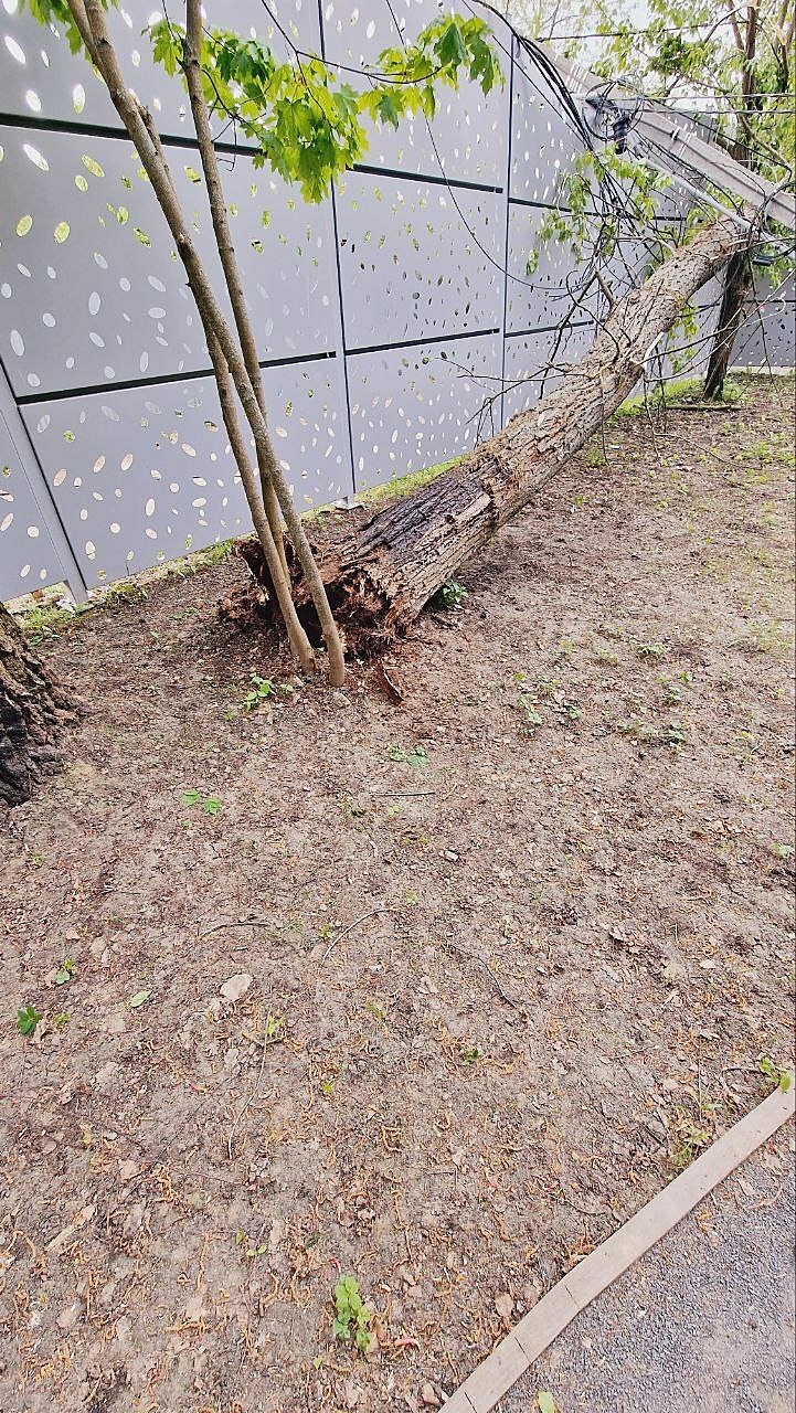 В парке КГБ Из КЗ чата: t.me/vkrasnoznamenske_ru/1
