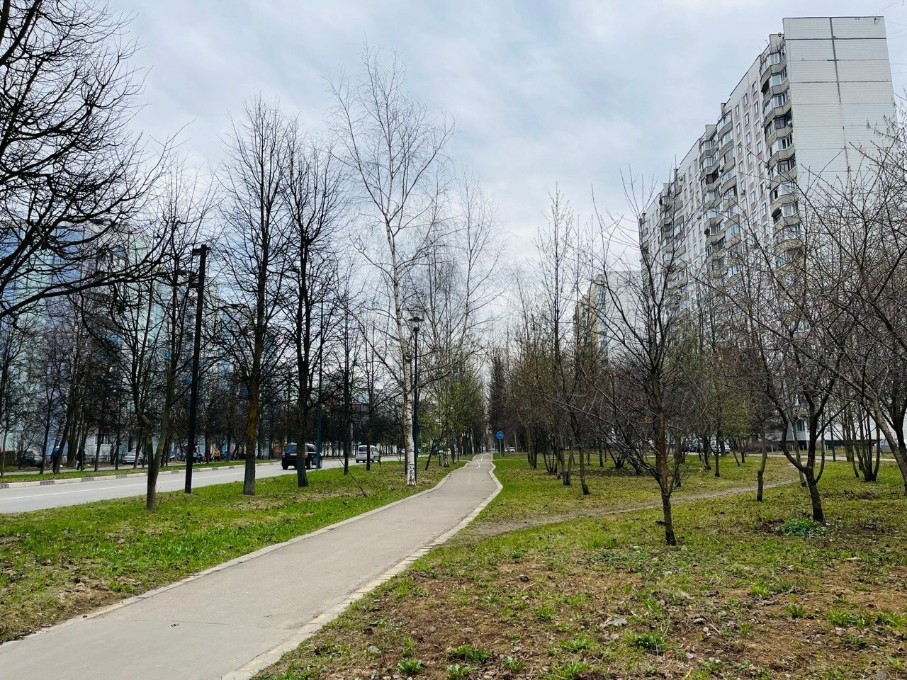 Доброе утро, Краснознаменск! Успешного вам дня!)