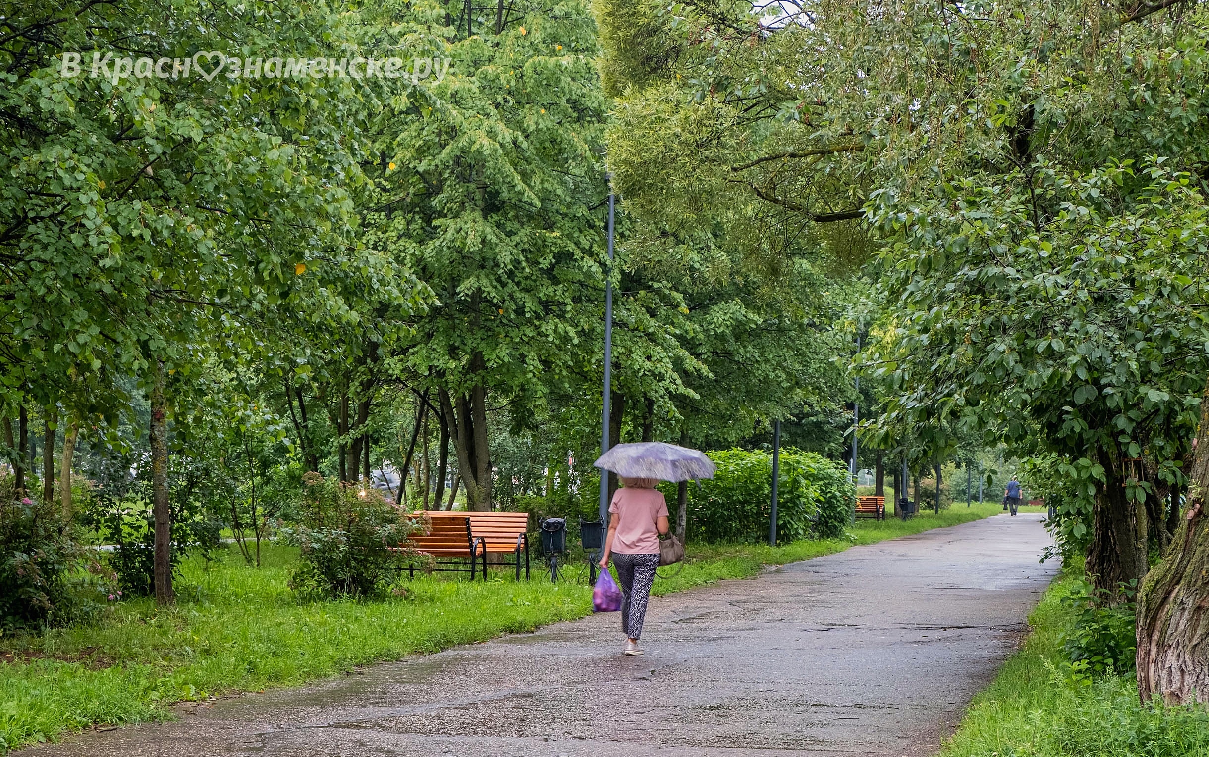 Фото 39311 — Краснознаменск