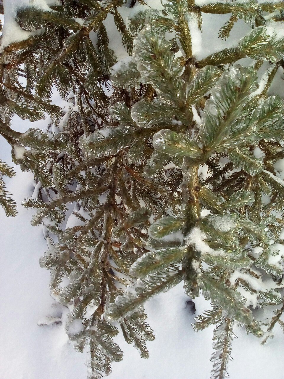 Сегодня было волшебное утро!))) Не хотелось уходить с улицы)