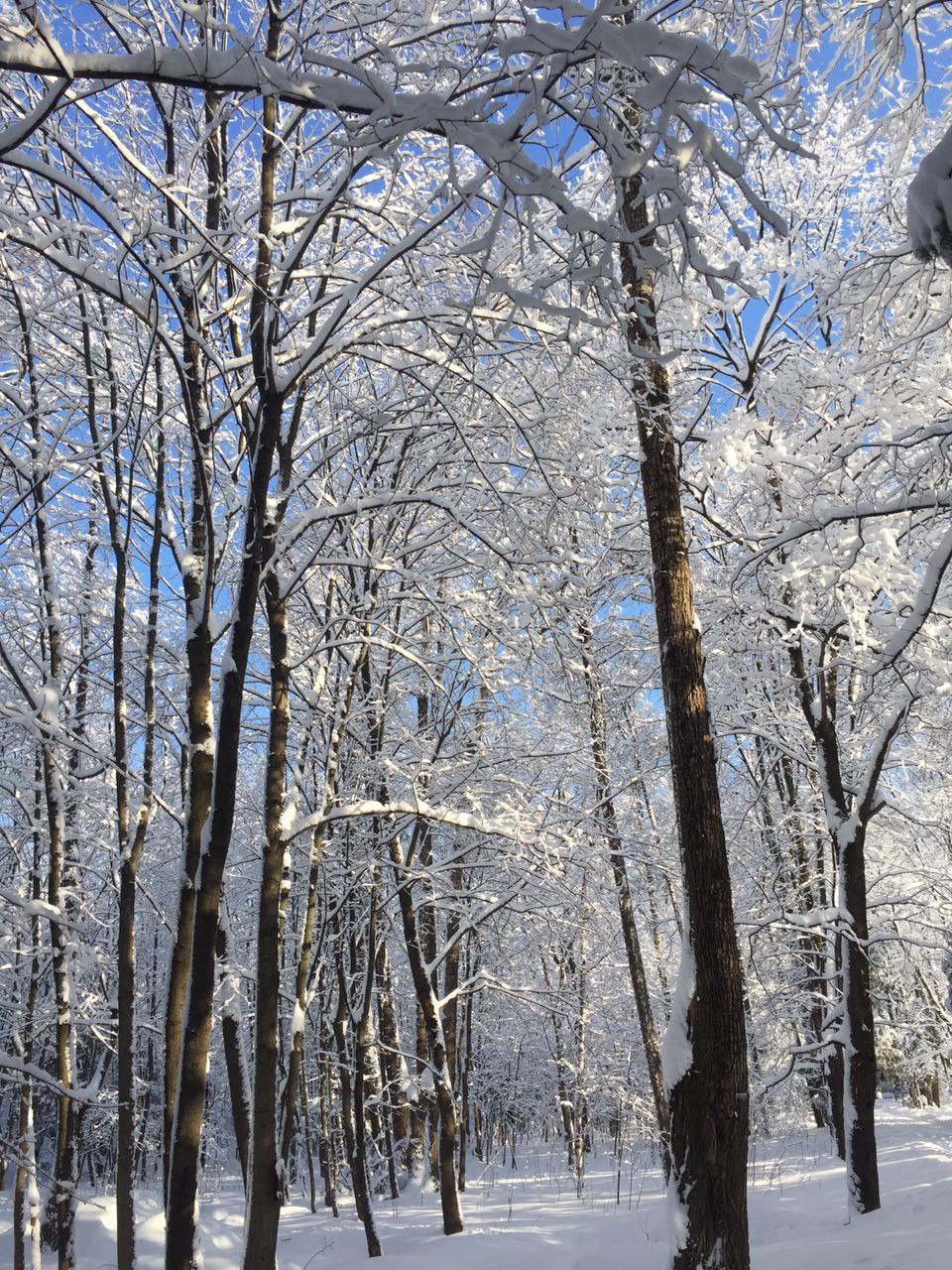 Красота — Краснознаменск