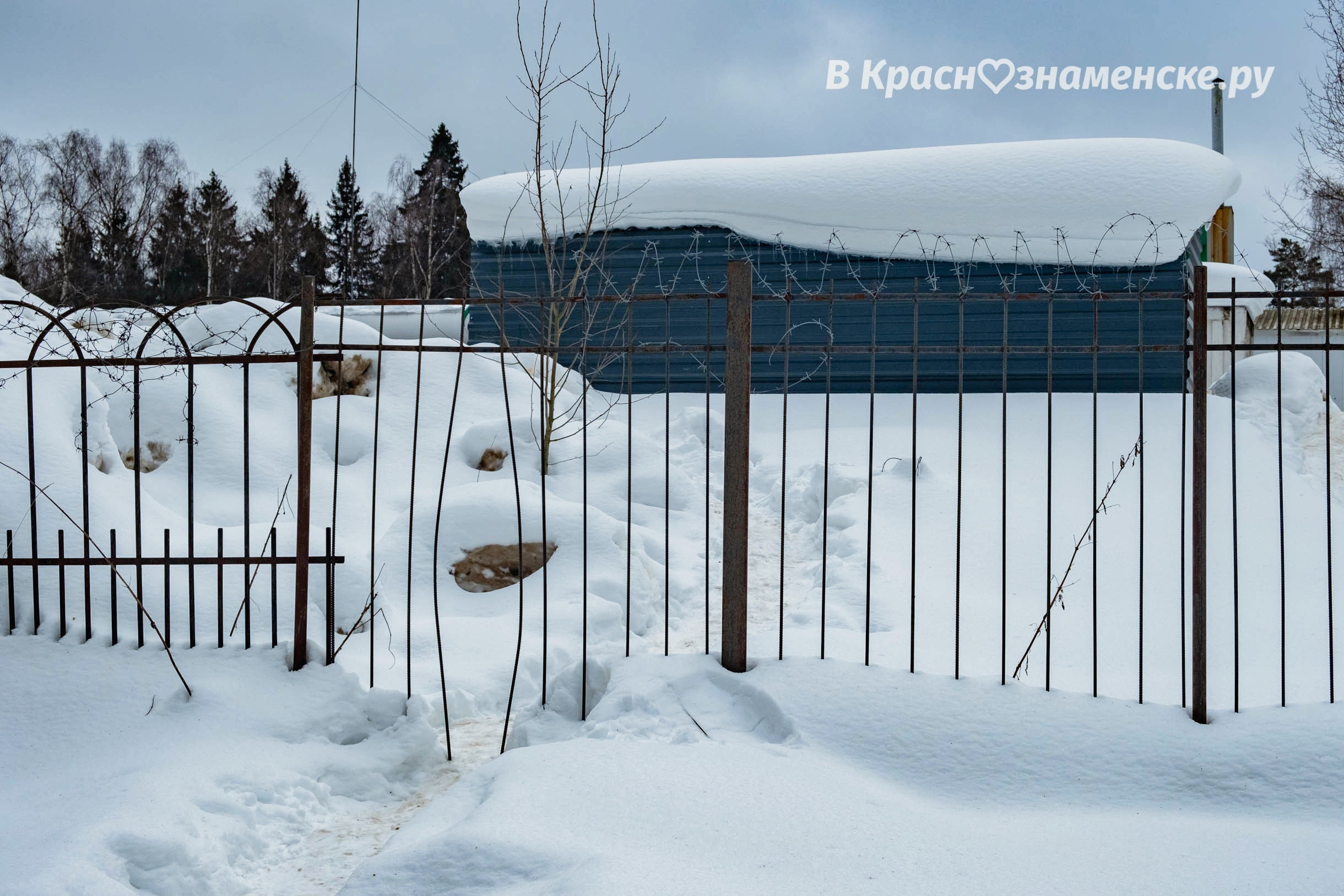 Фото 32397 — Краснознаменск